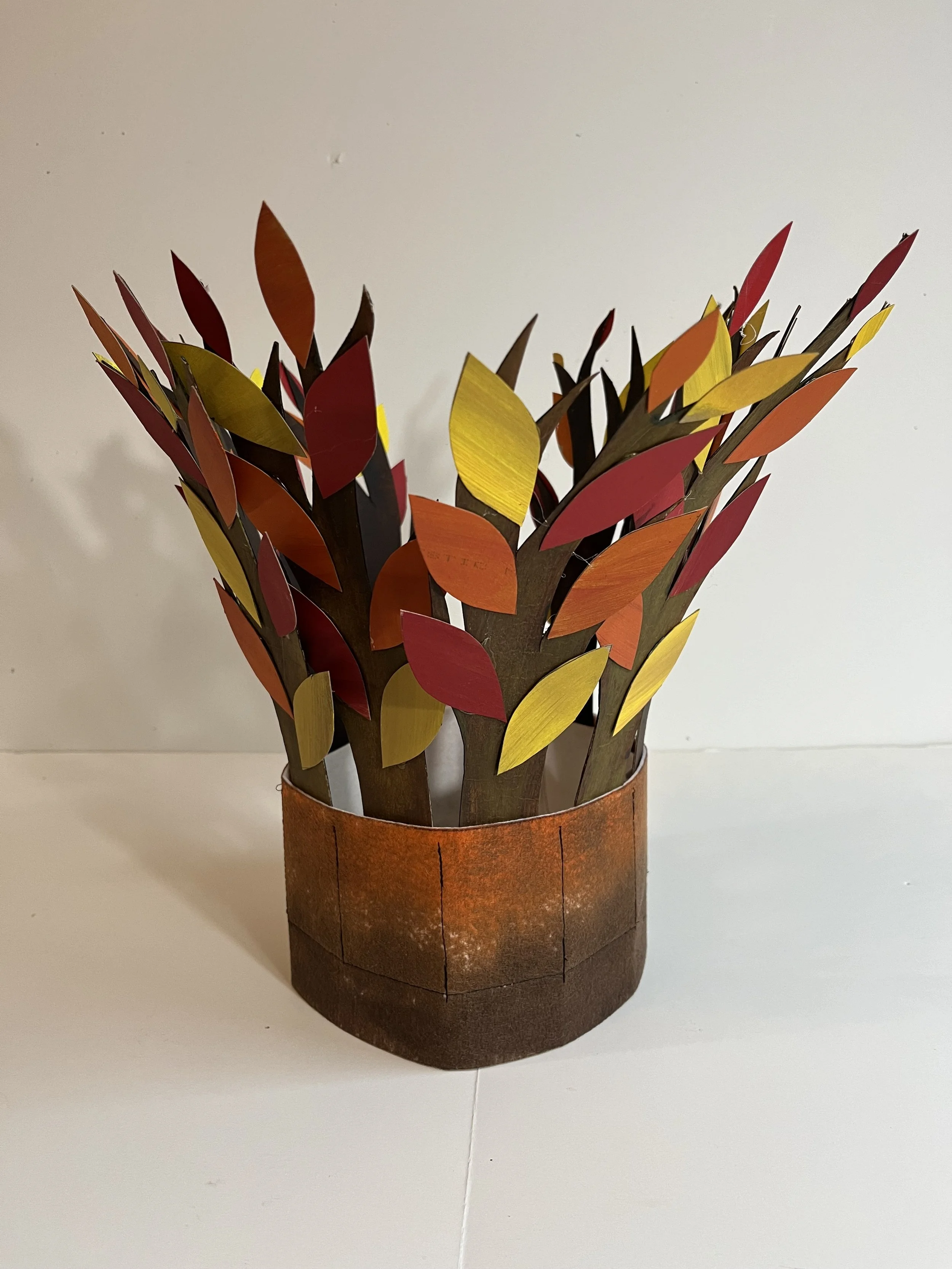 The Seasons:  Autumn