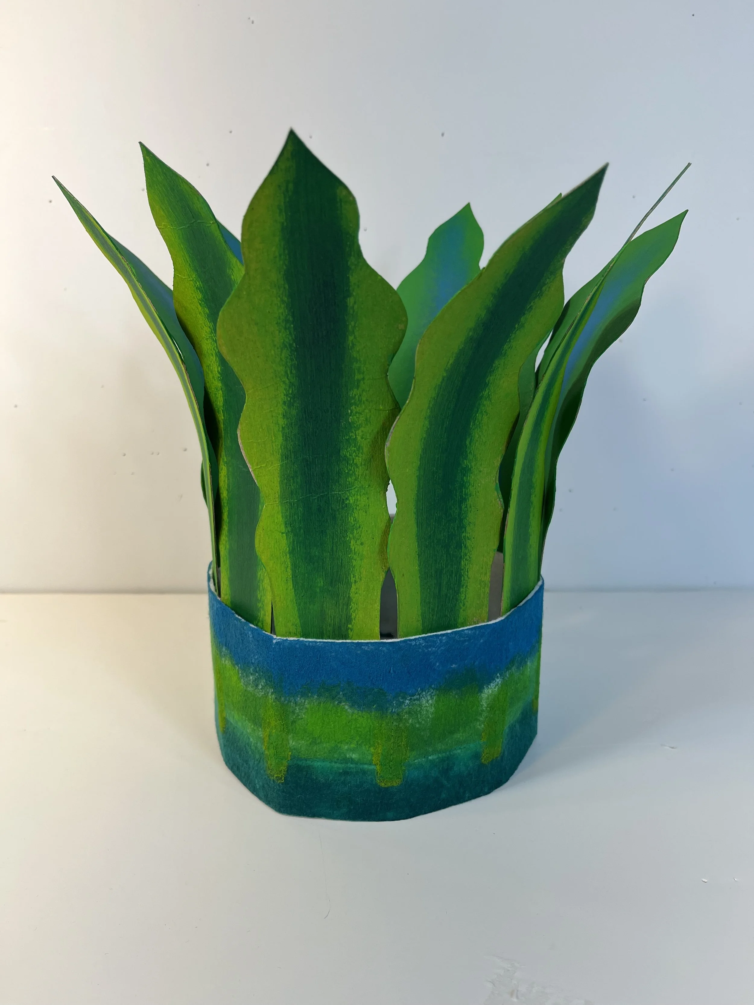 The Simple Hats (Kit Available as Well):  The Plant