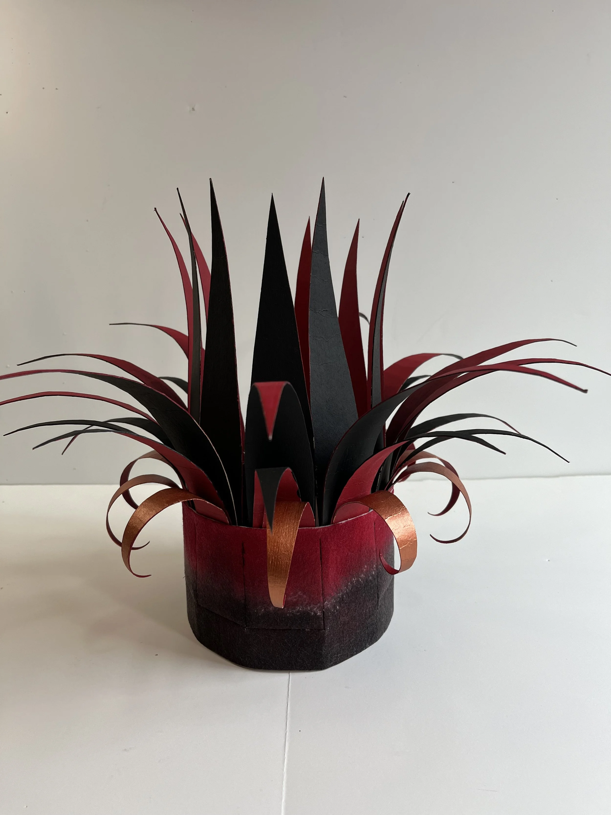 The Pointy Crowns Series 1:  Black, Red and Copper