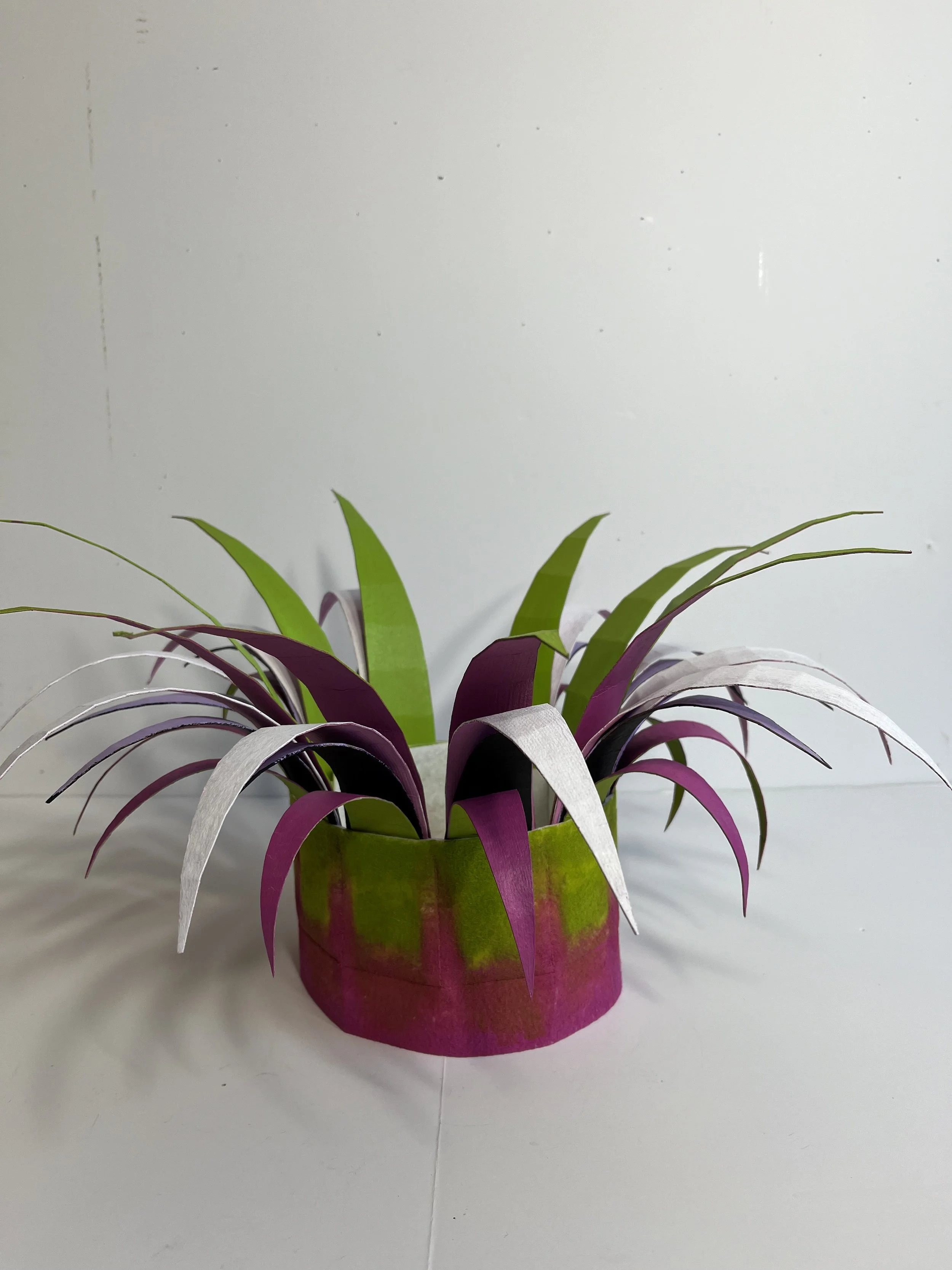 The Point Crowns Series 1:  Light Green, Pink and Silver