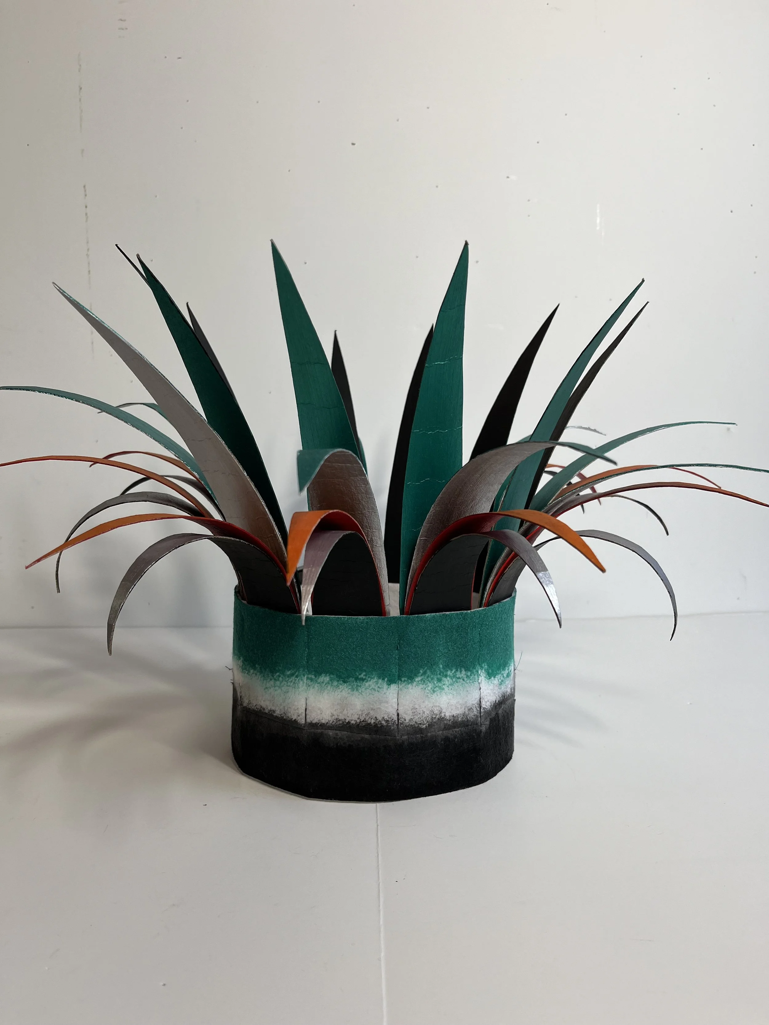 The Pointy Crowns Series 1:   Black, White and Teal