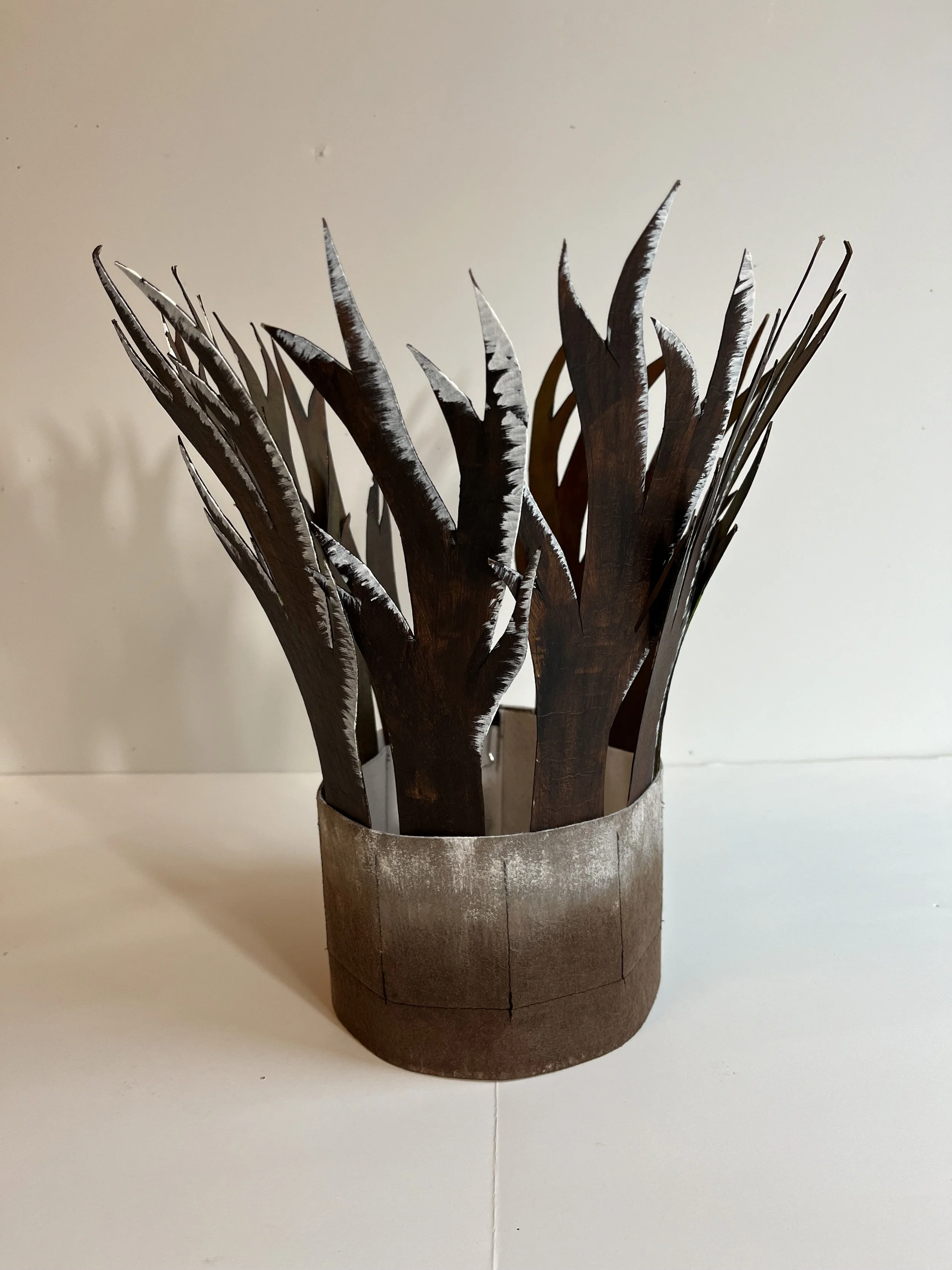 The 4 Seasons (view multiple images)