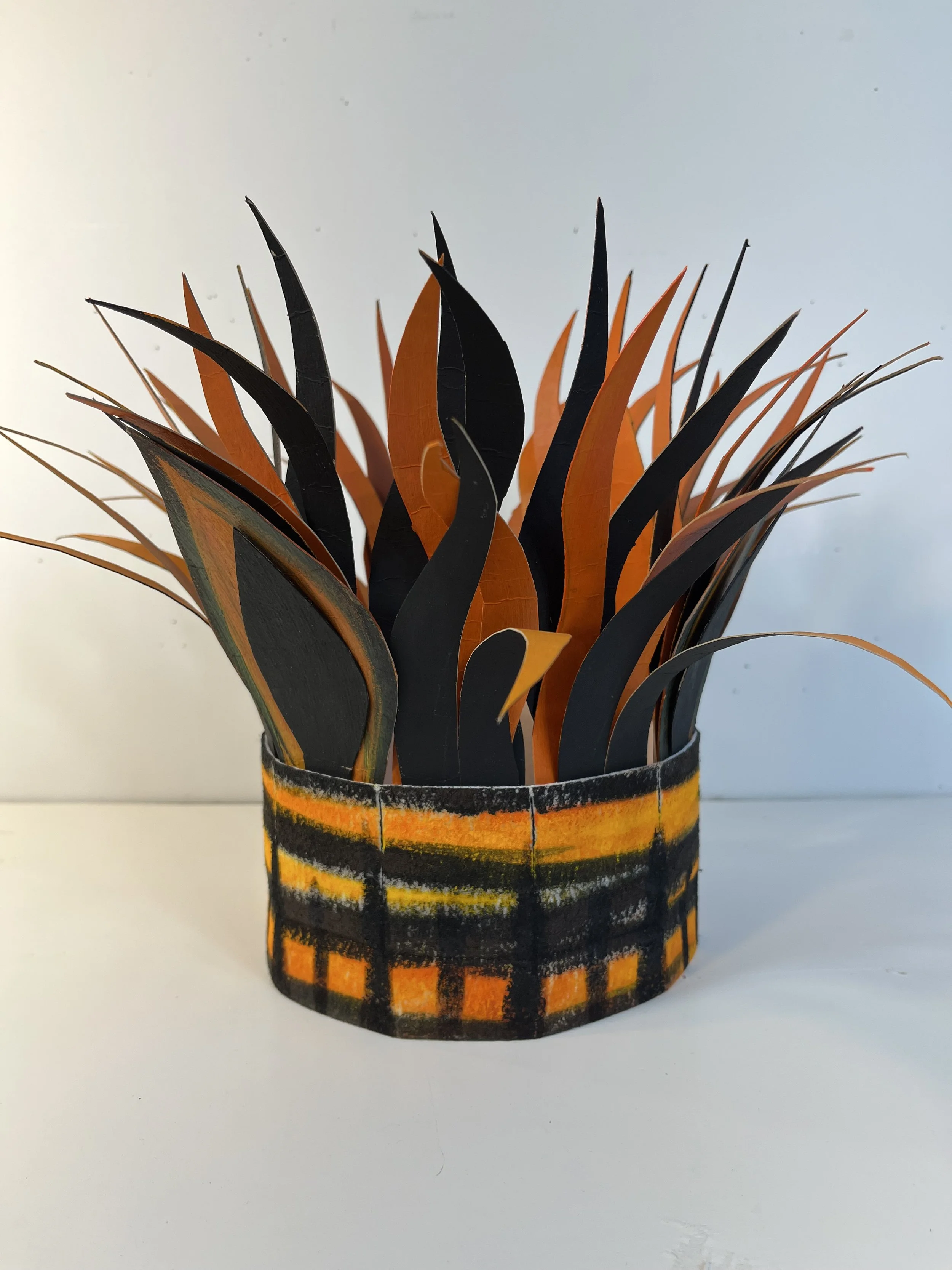 The Wavy Crowns Series 2:  The Tiger