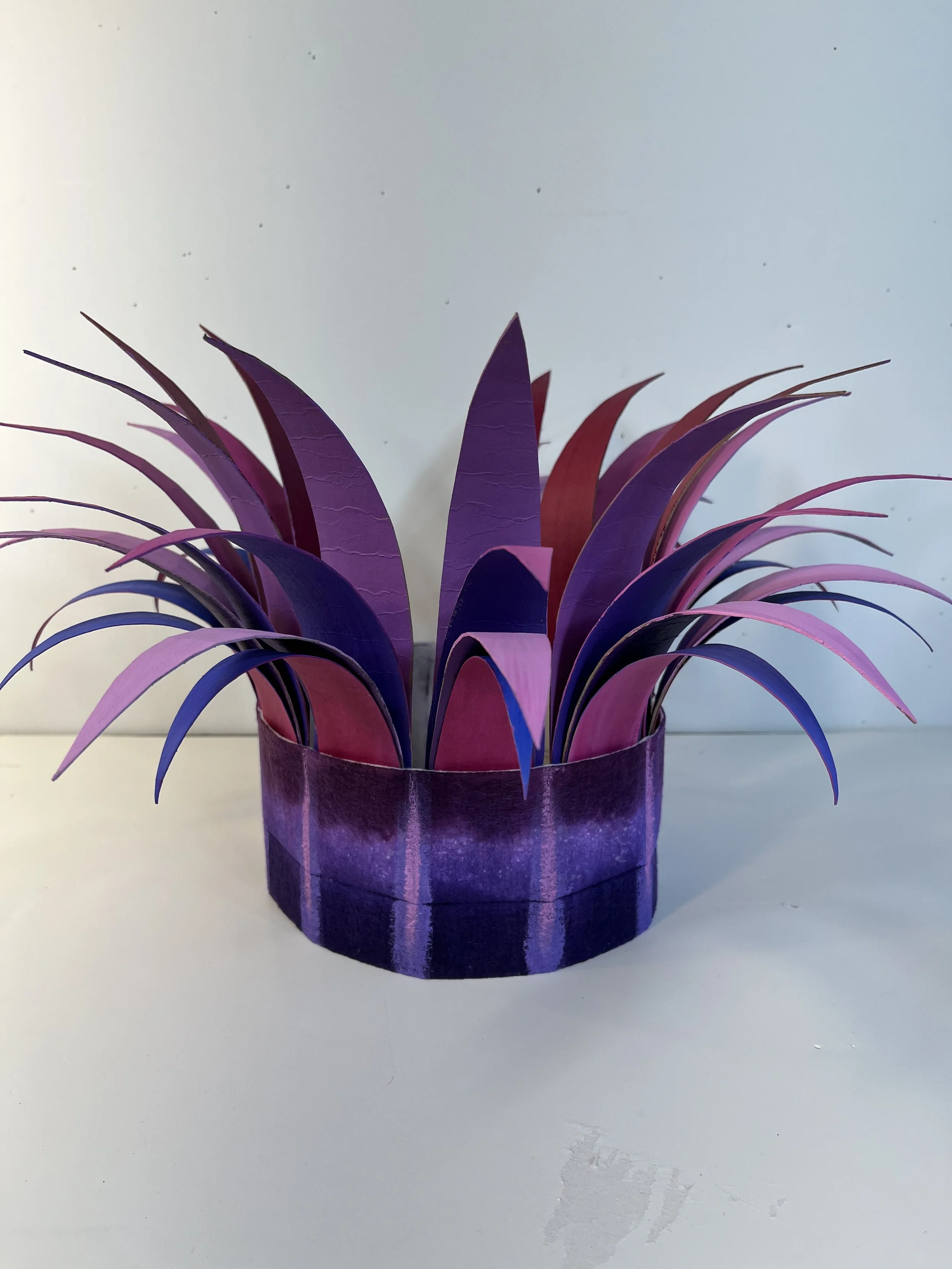 The Pointy Crowns Series 2:  Pink and Purples