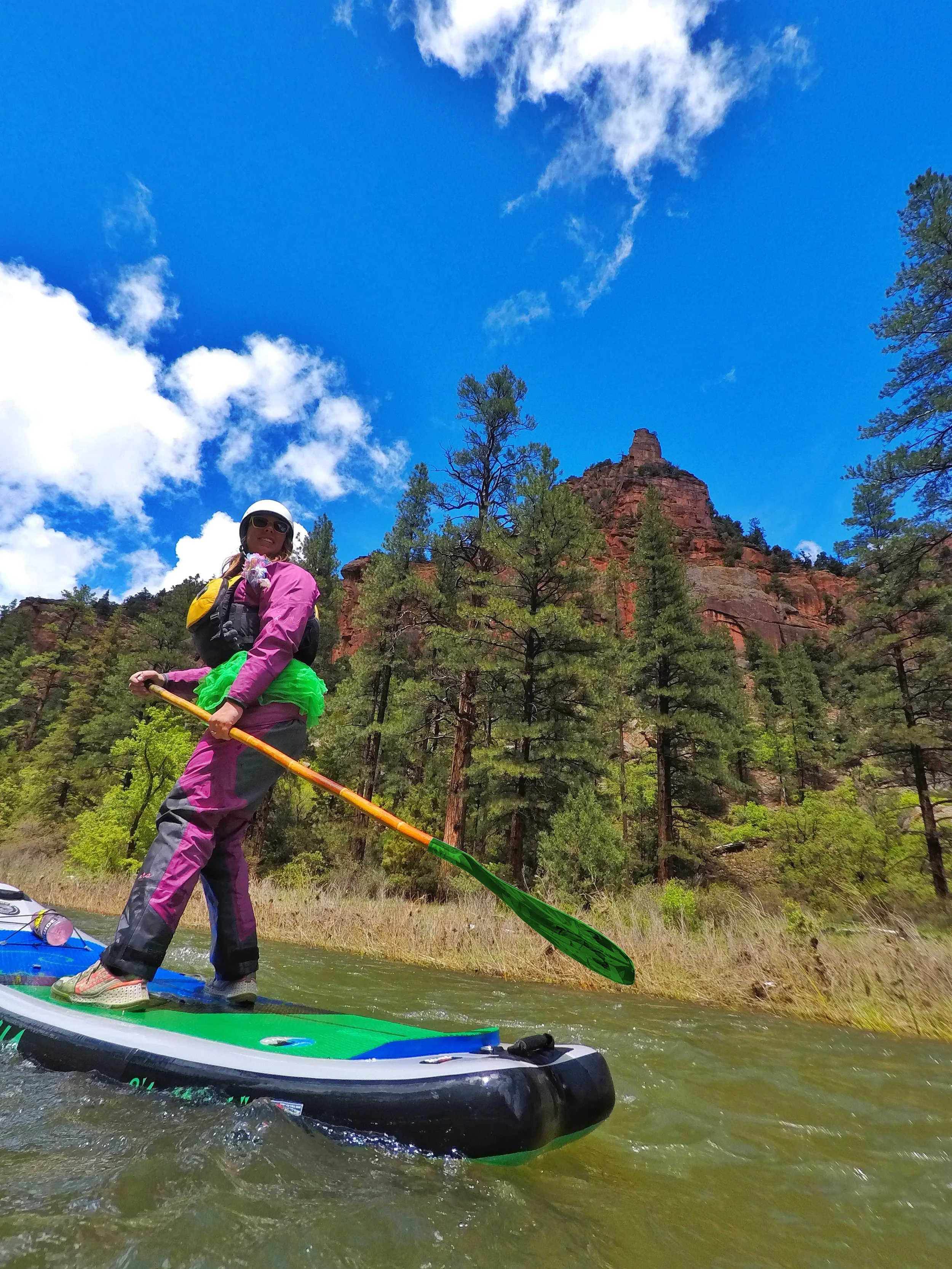 GOPR0046-01 logo.jpeg