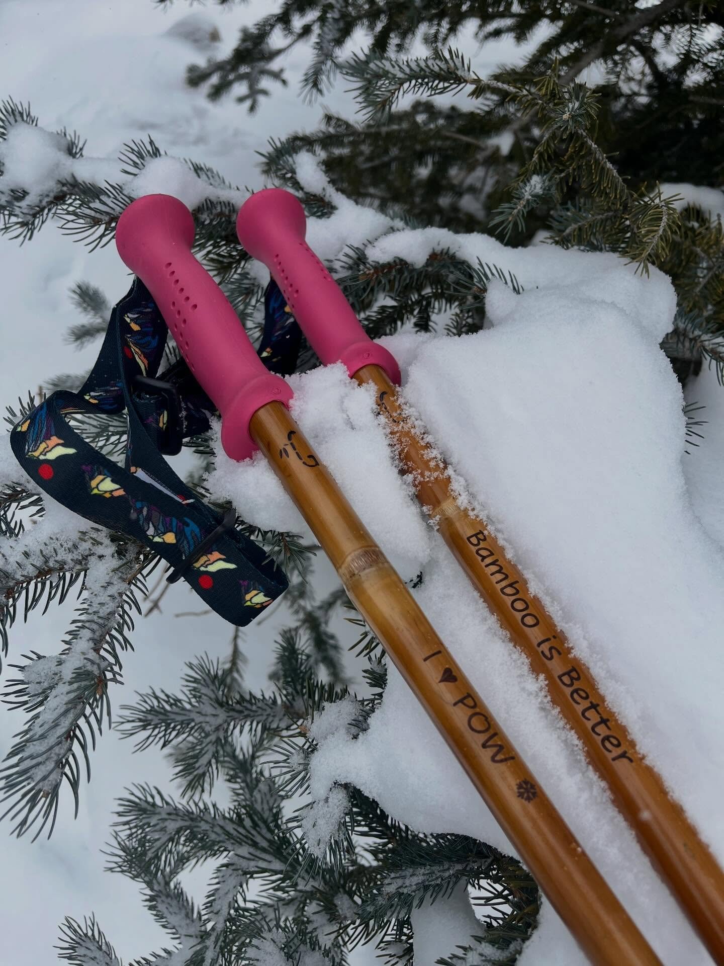 It&rsquo;s winter in Colorado  again!