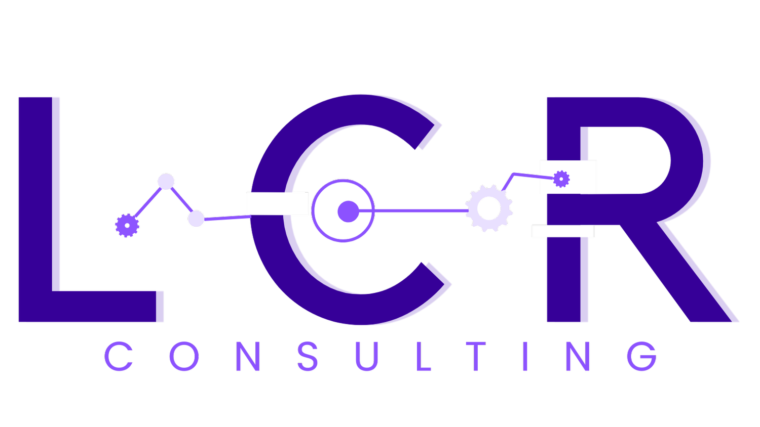 LCR Consulting