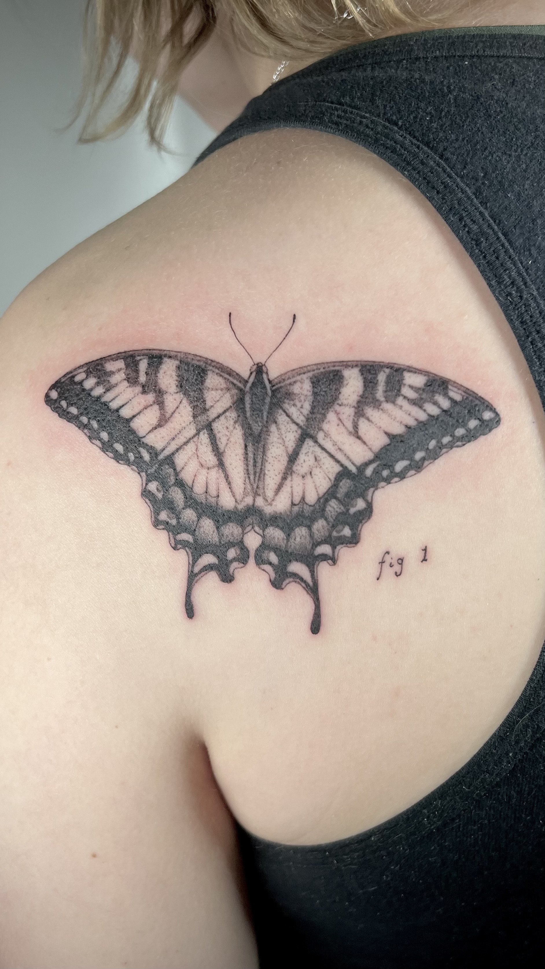 Tattoo of a butterfly on a person's shoulder blade.