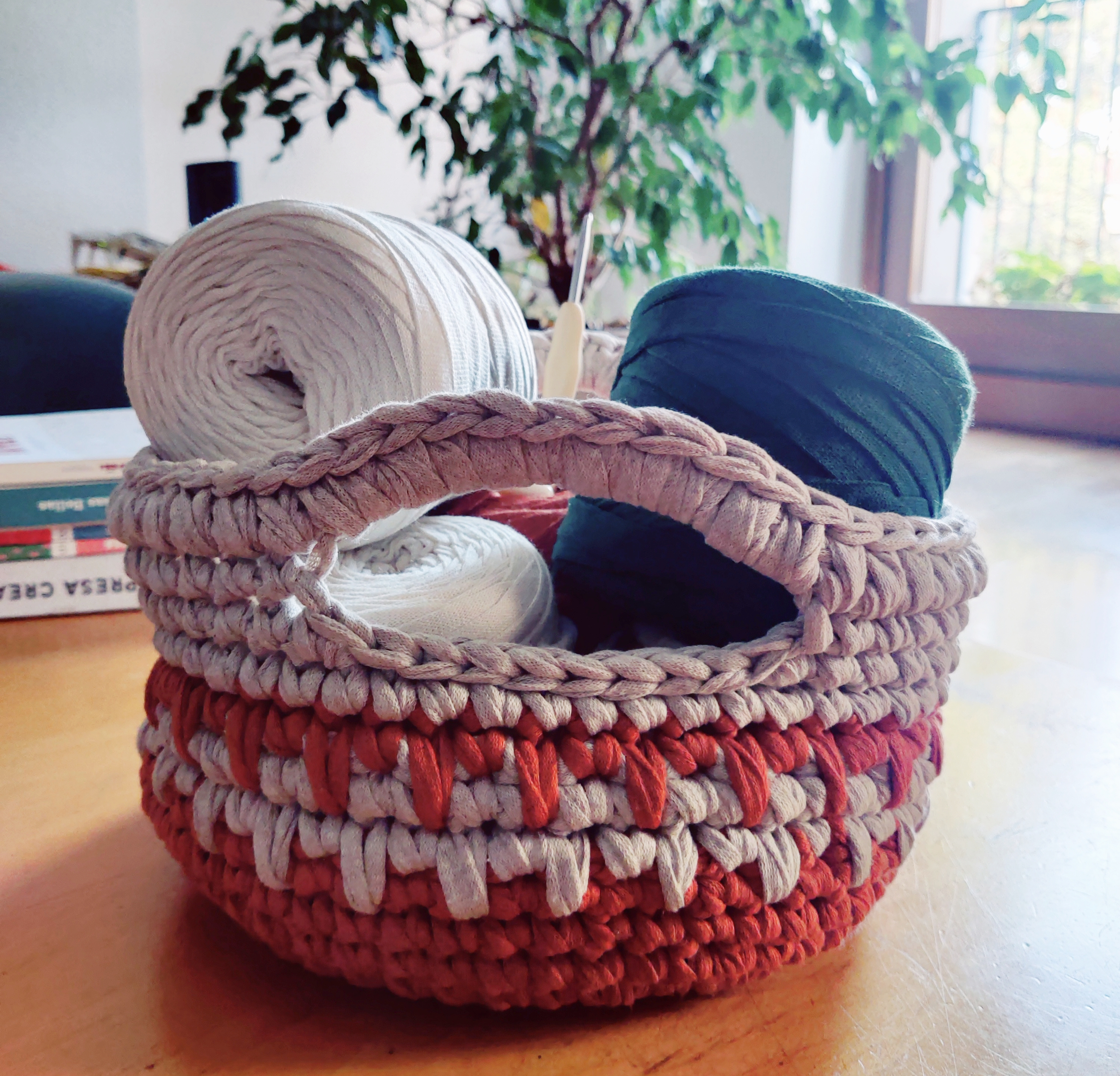 cesto planta recortado.png