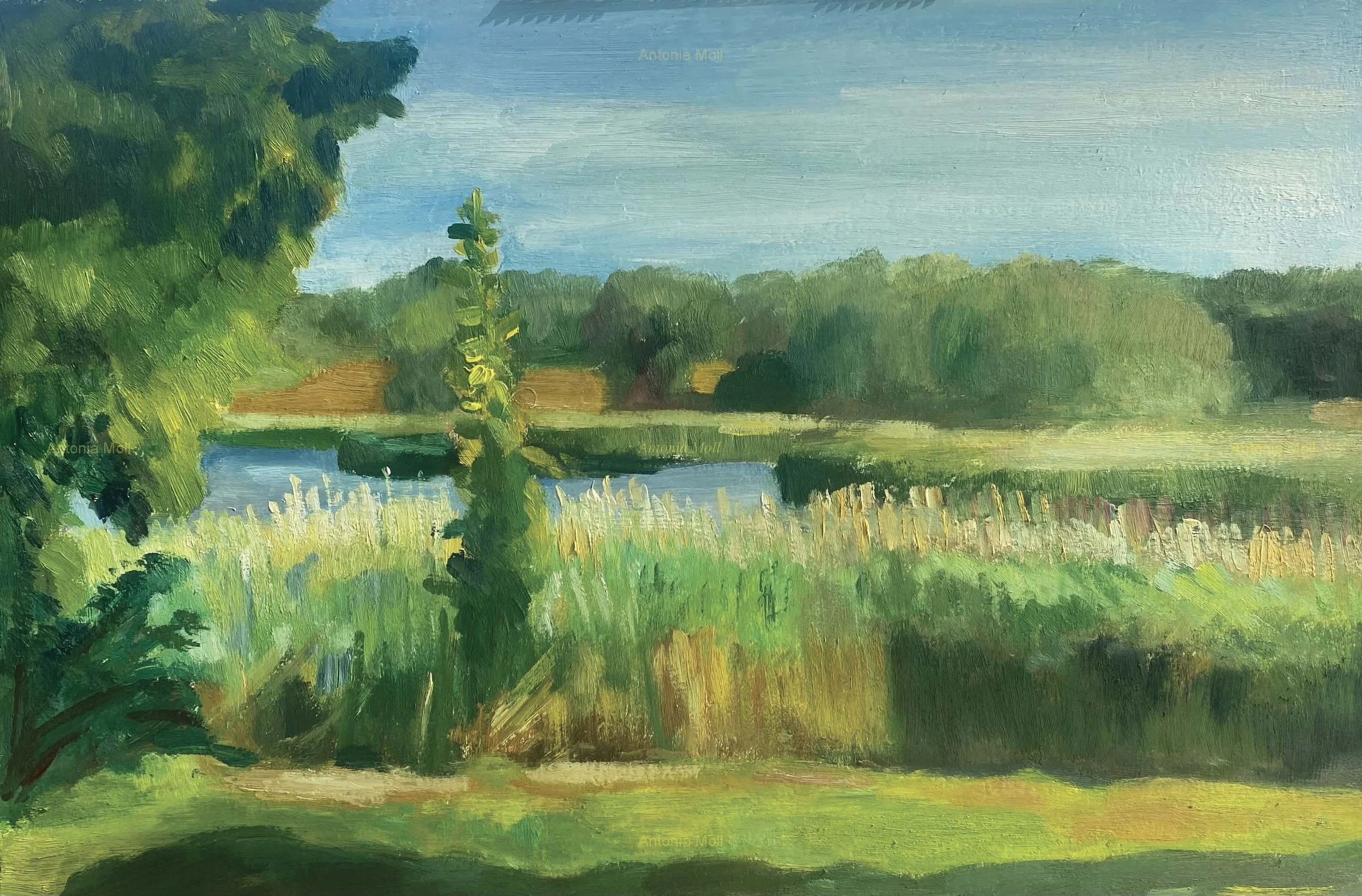 Green and yellow morning Ruegen.jpg