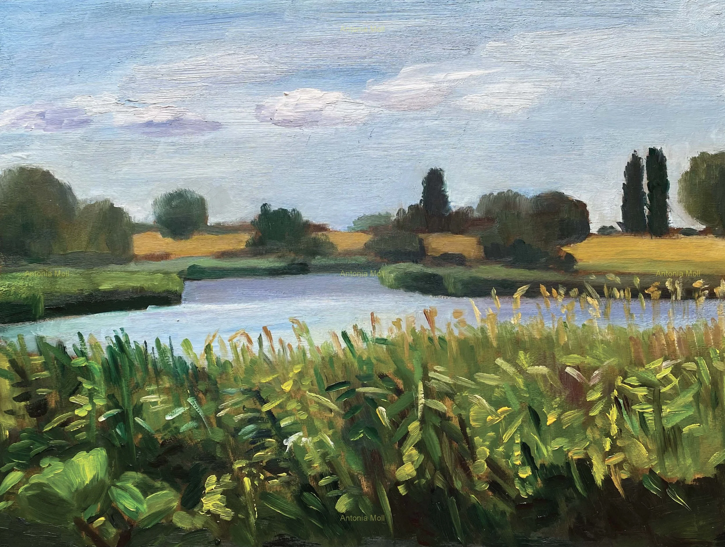 Summer on the Island of Rügen - oil on wood panel - plein air sketch - 30x40cm - July 2026