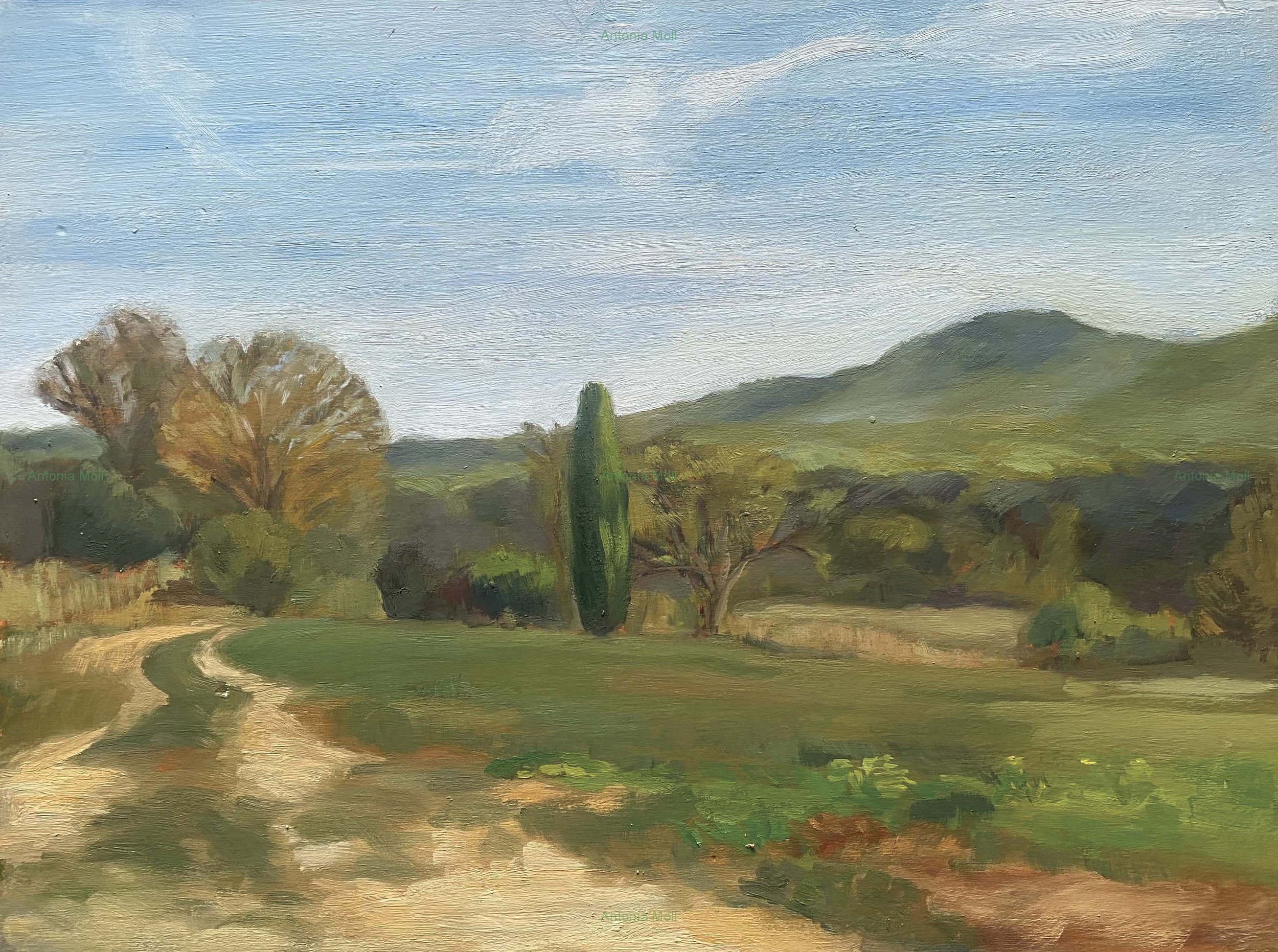 Classic greens in Provence .jpg