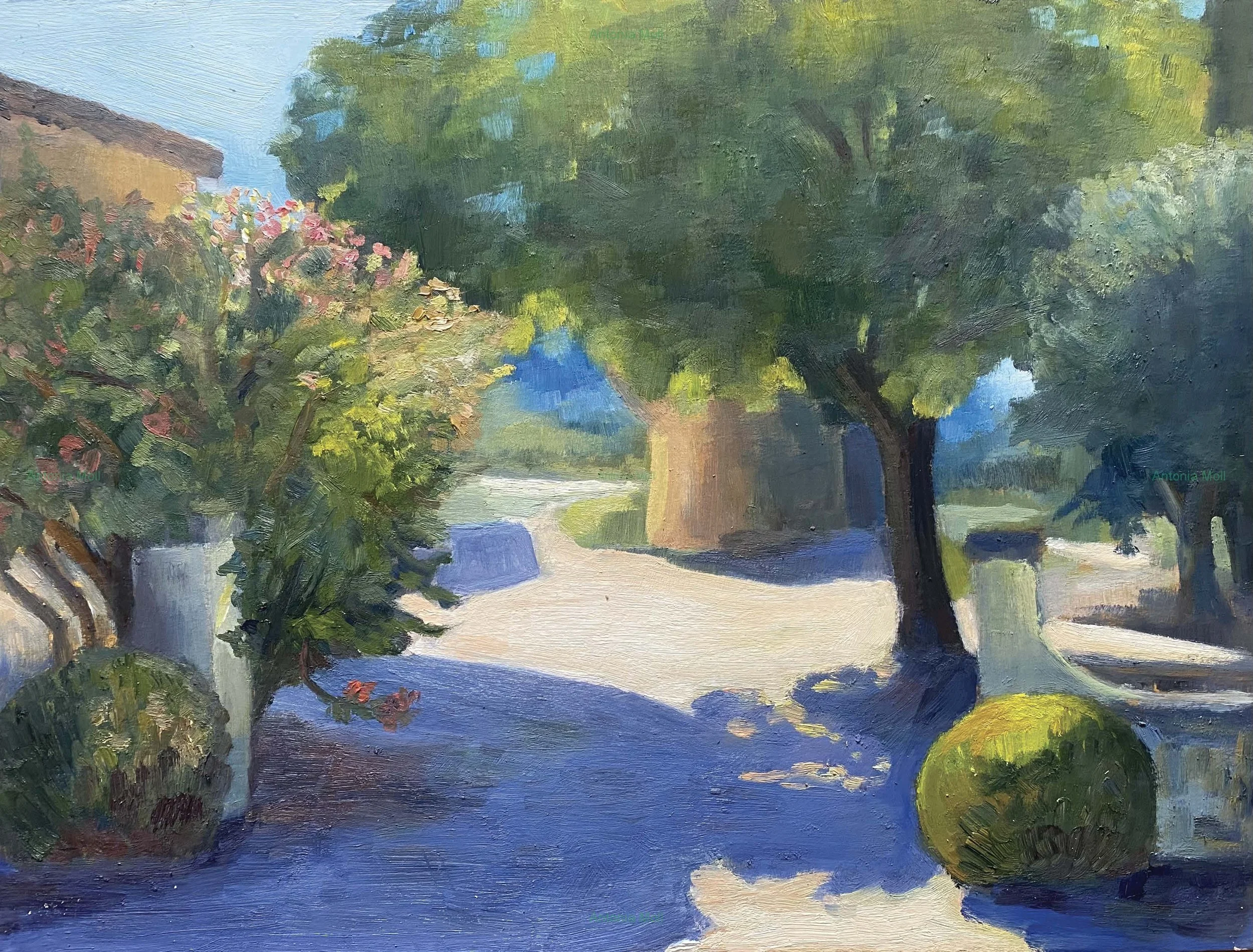 Provencal Colours in late August .jpg