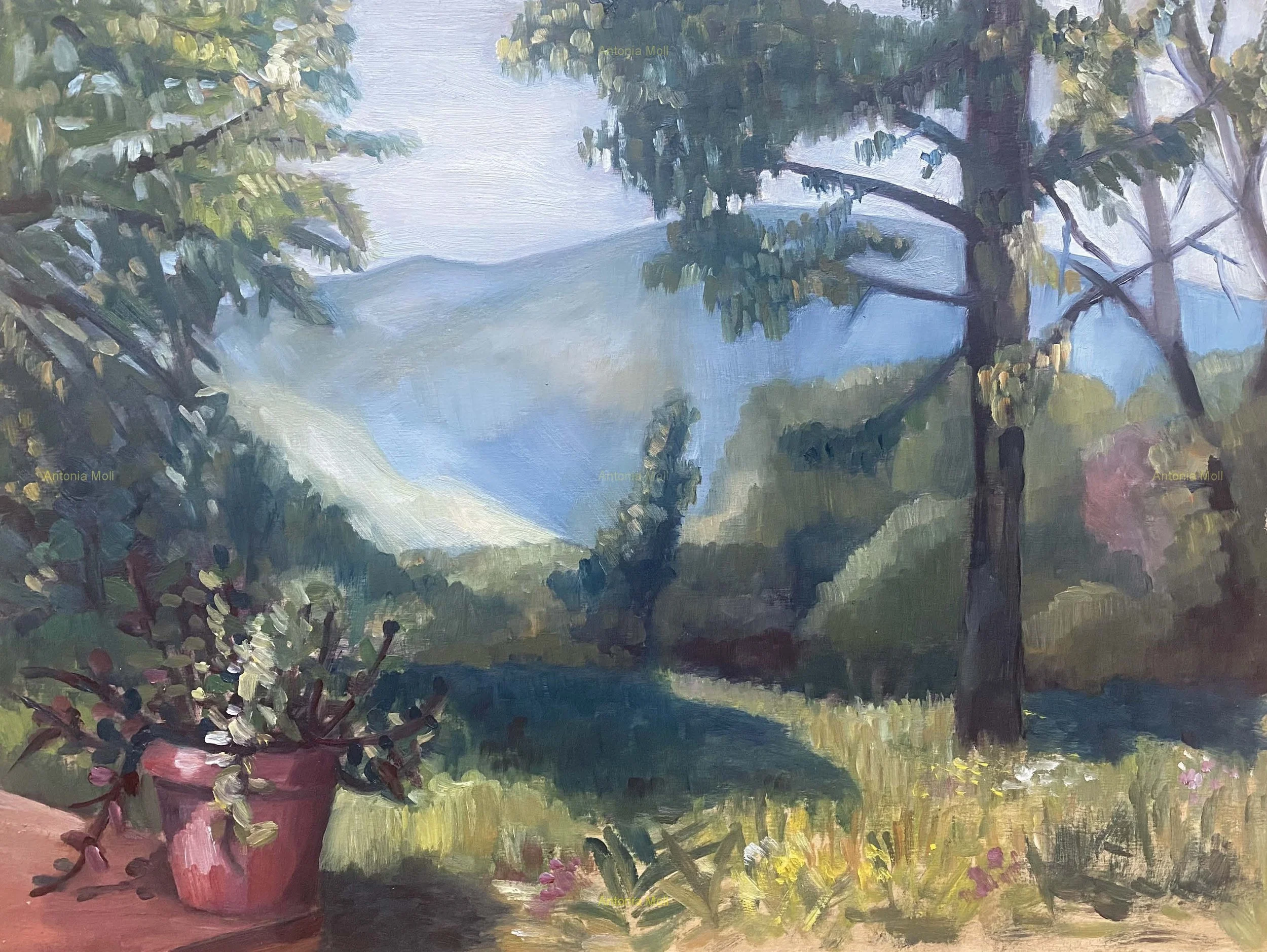 A day after the rain in Tuscany - oil on wood panel - plein air sketch - 30x40cm - May 2026