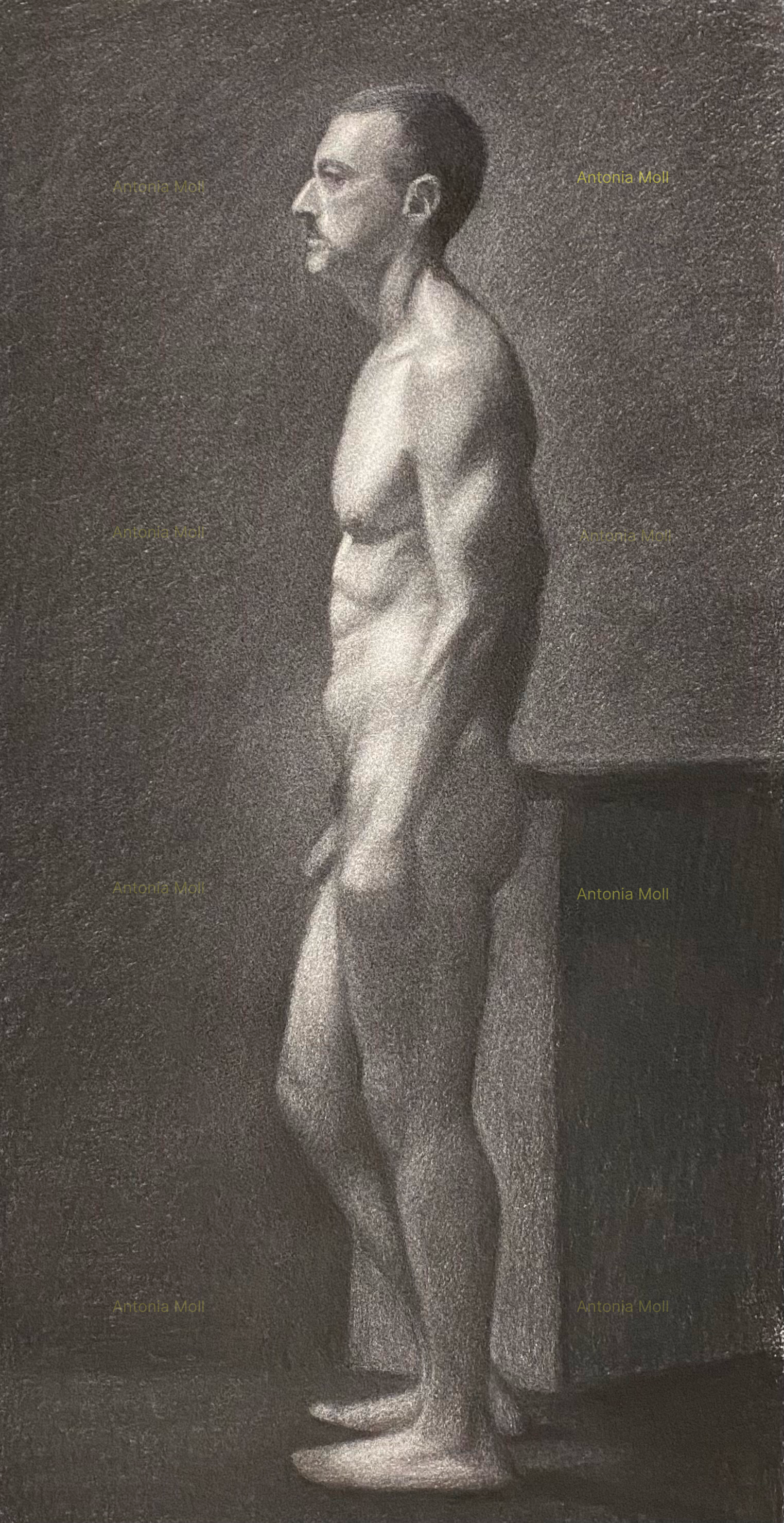 Long pose charcoal on paper - 70cm x 30cm - September 2025