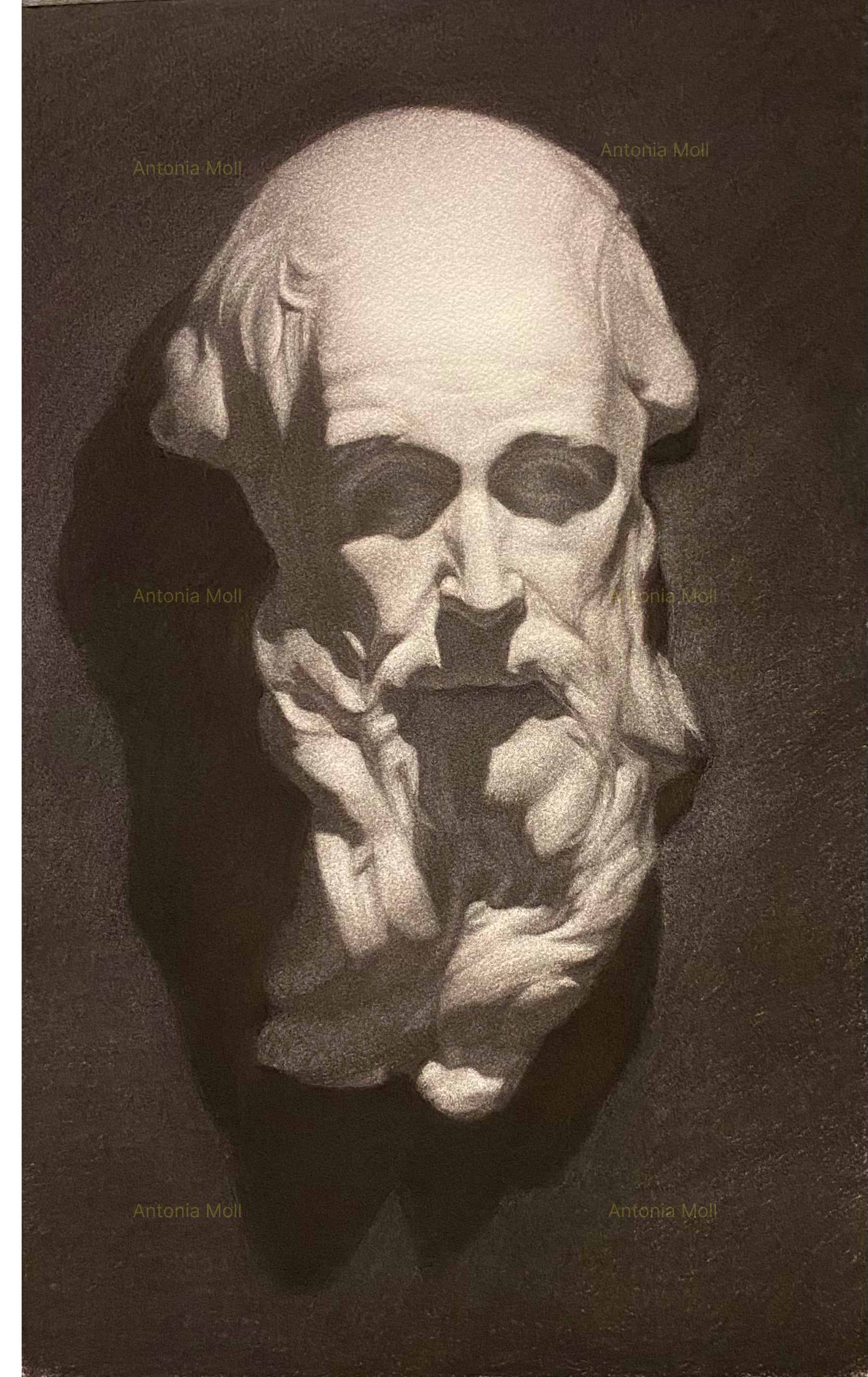 Saint Jerome cast drawing charcoal on paper - 50cm x 30cm - August 2025
