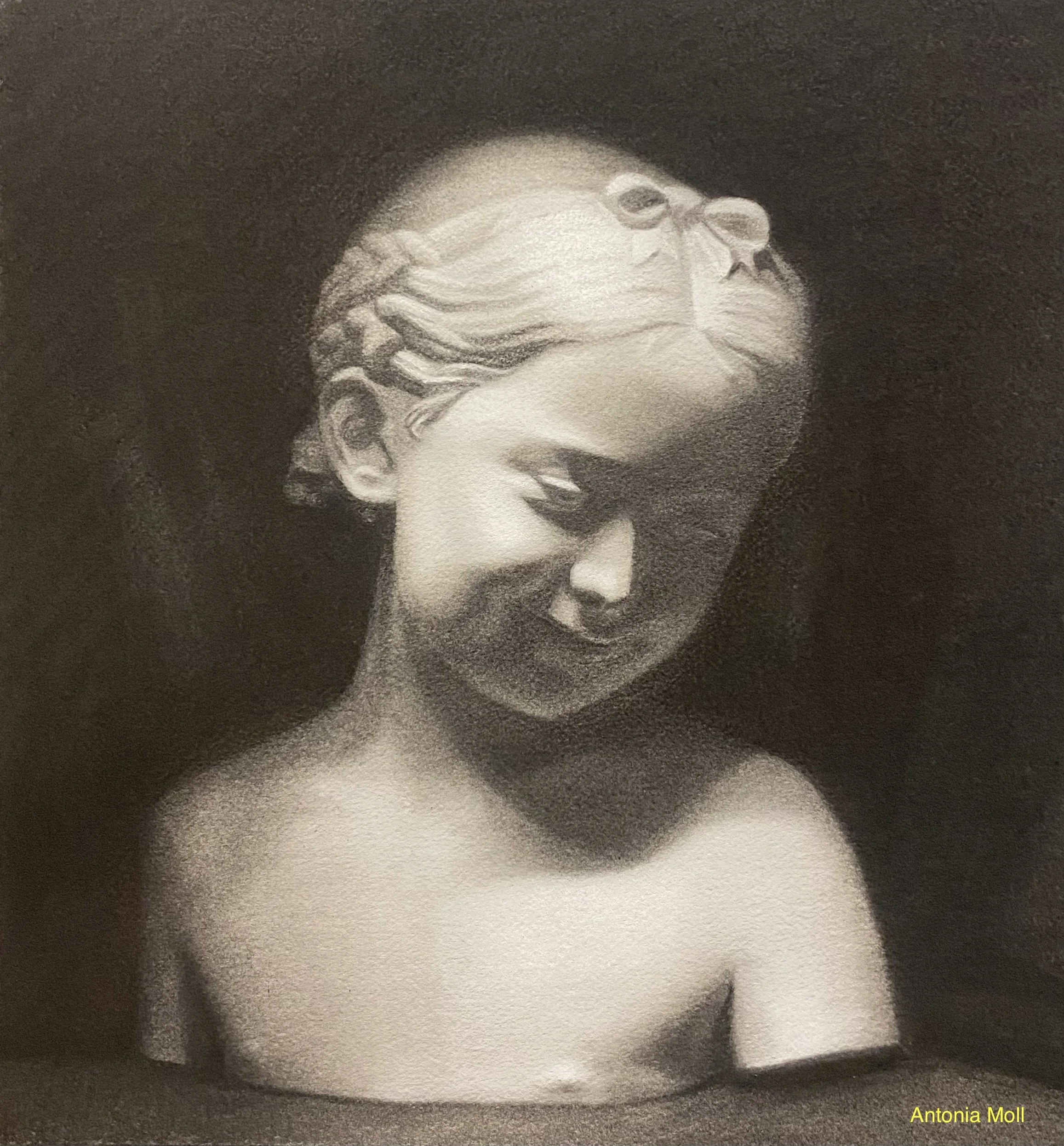 White Chalk and charcoal cast drawing - 35 cm x 40 cm - December 2025