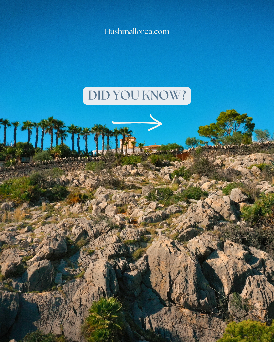 A rocky hillside with palm trees and a house in the distance under a clear blue sky, with text overlay saying 'Did you know?' and a website 'Hushmallorca.com'.