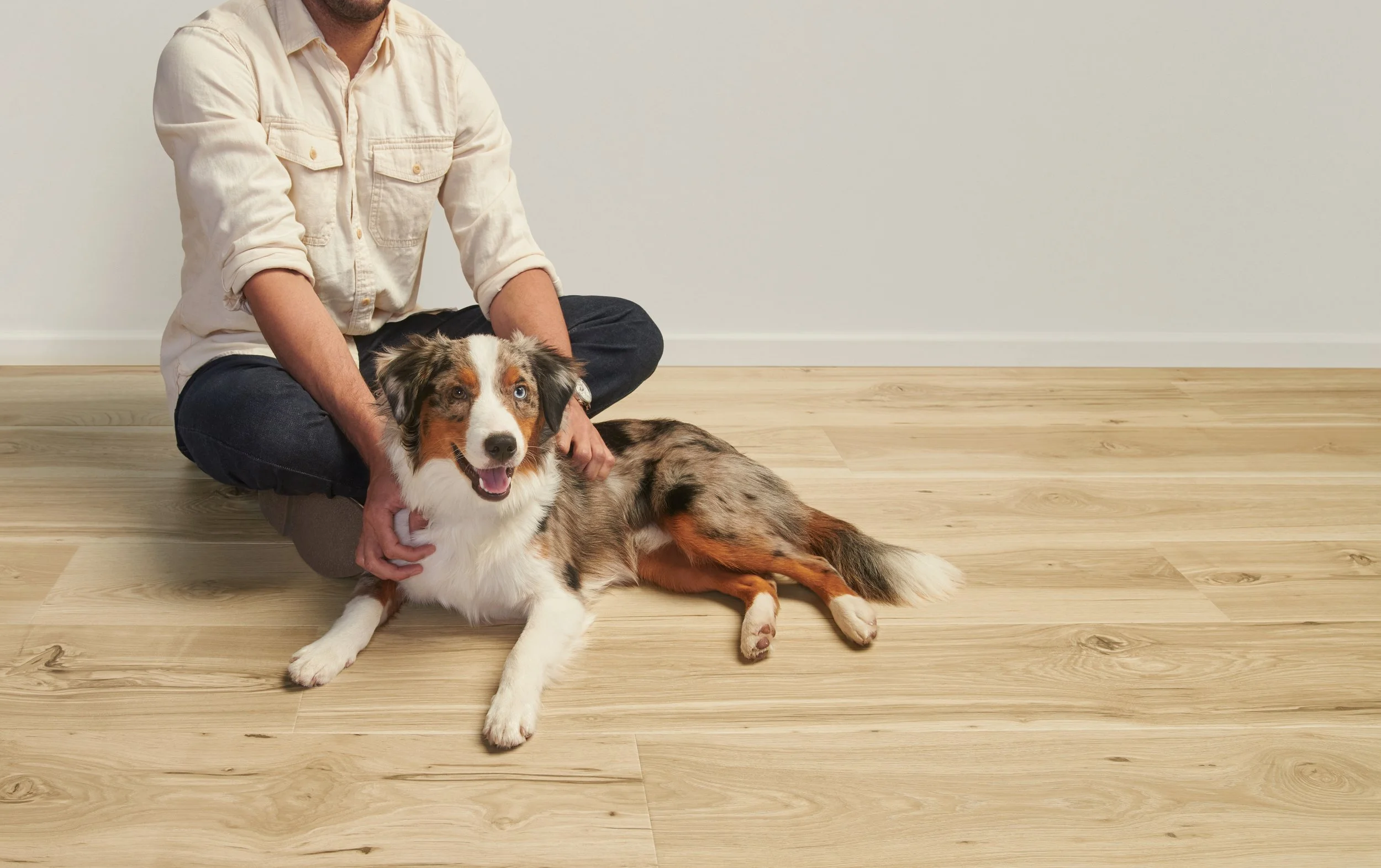 Pet-friendly flooring for St. Louis Park homeowners
