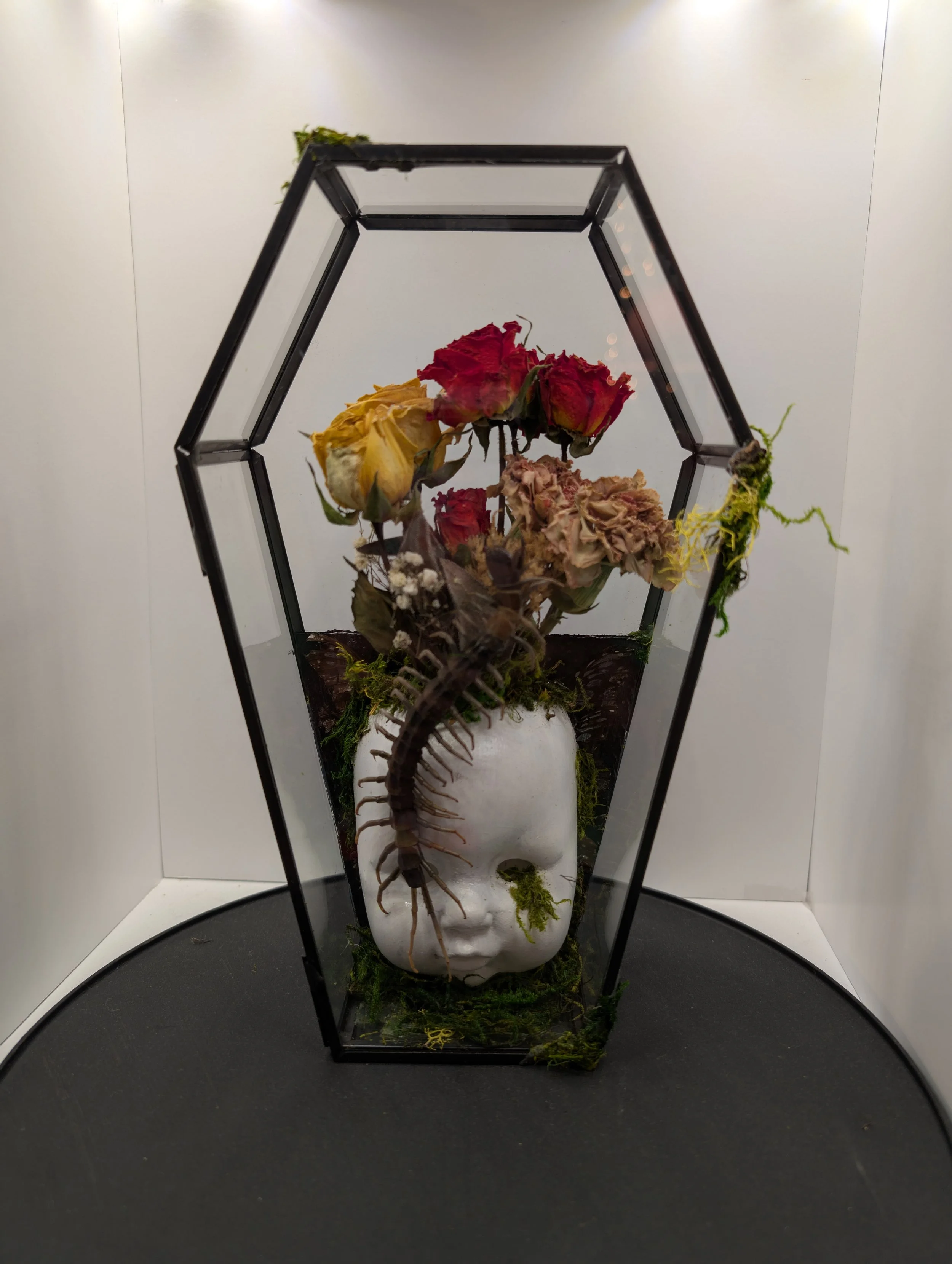 They shall feast, Centipede, toys and dried flowers, 2024