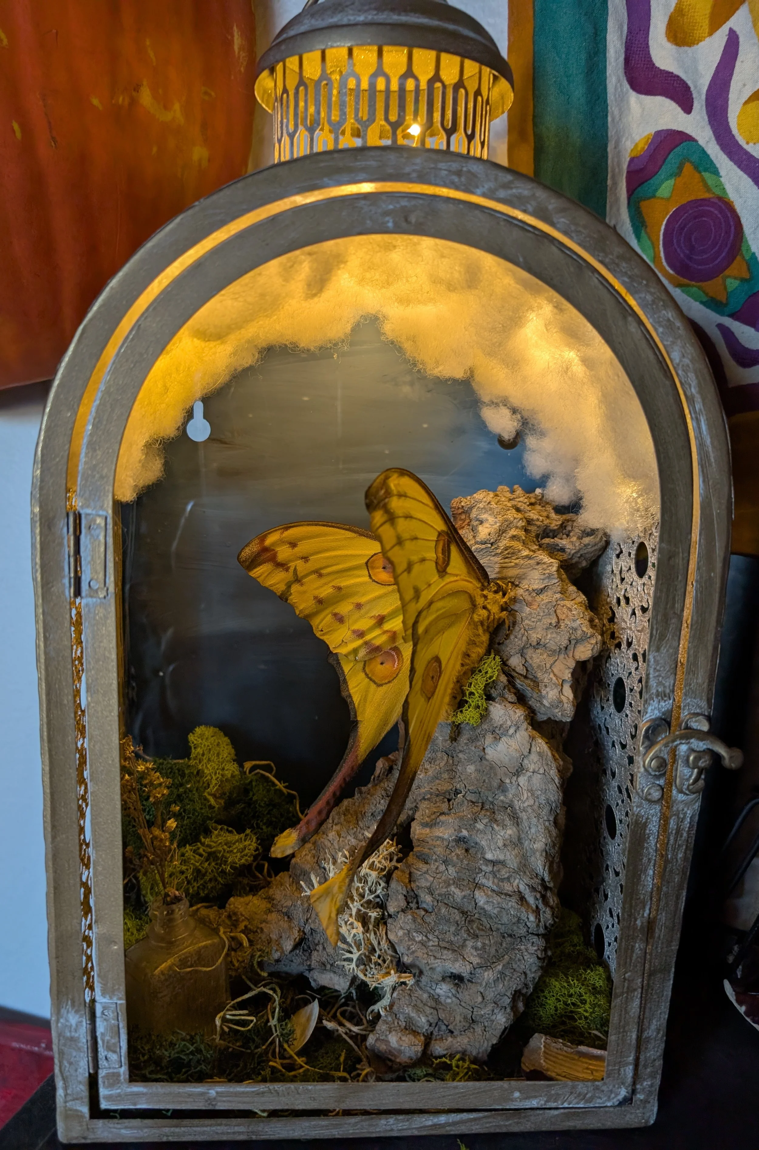 in the moon light she shines, Lunar moth, 2023