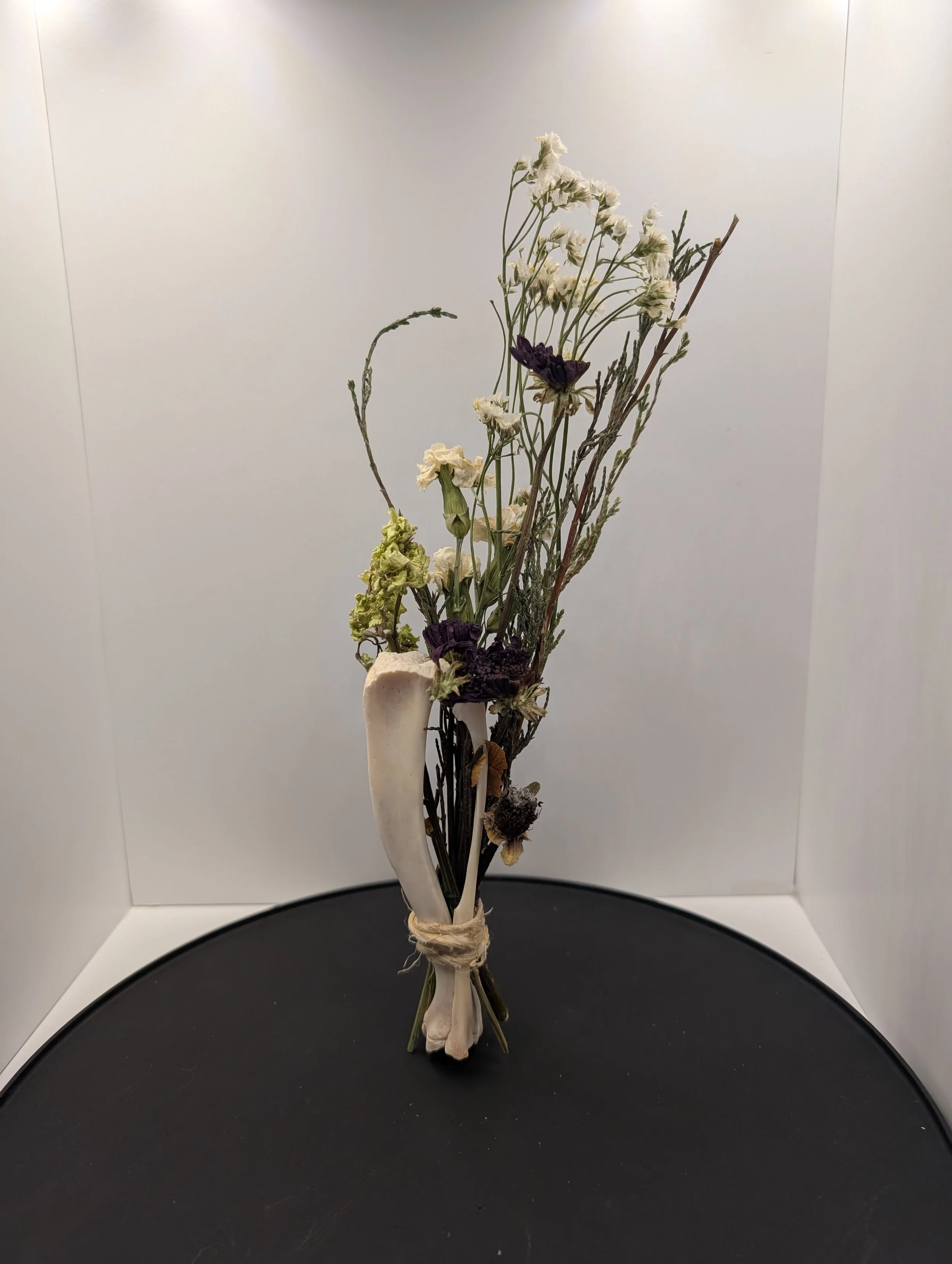 For my love, Cat leg bones 2021