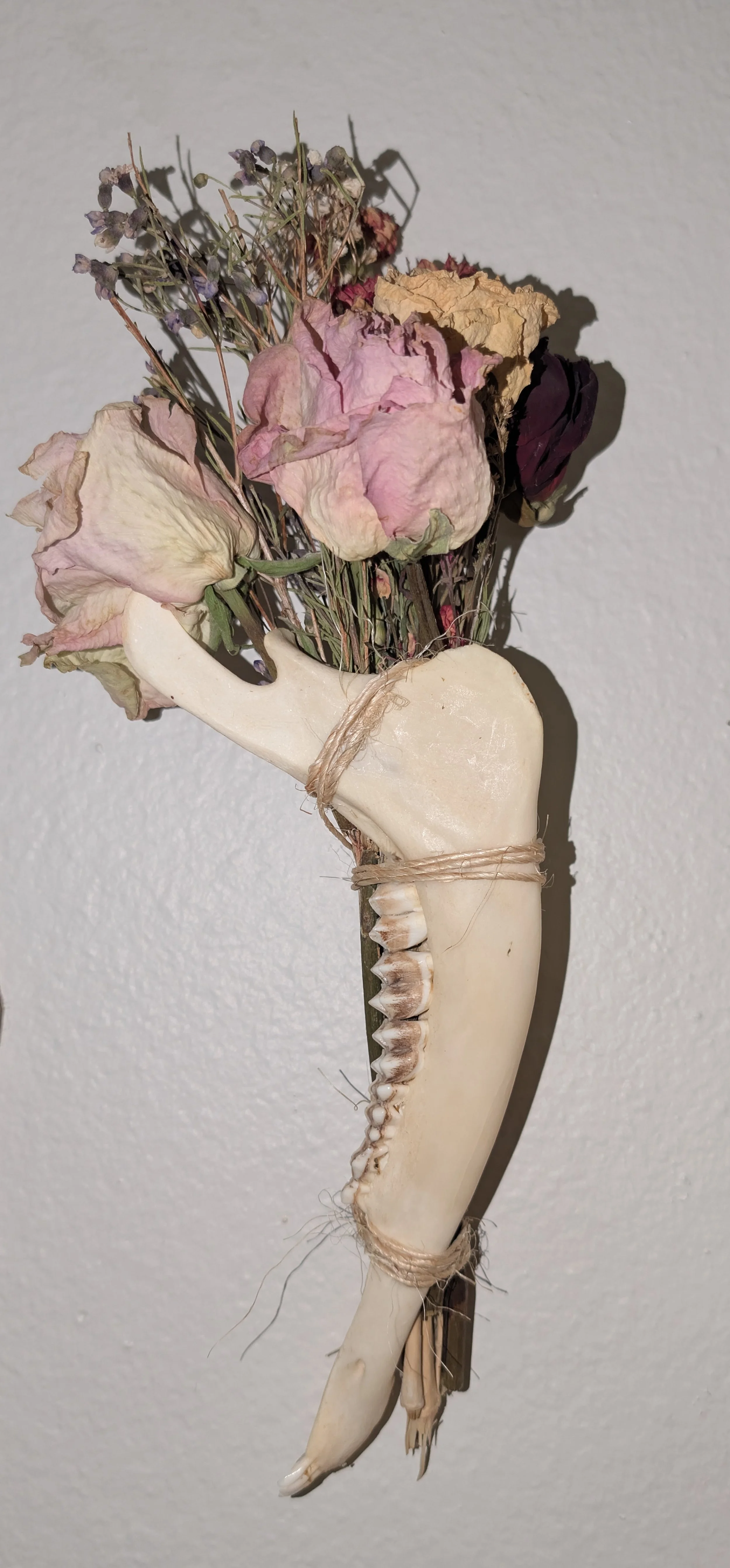 Deer jaw with died flowers 2023