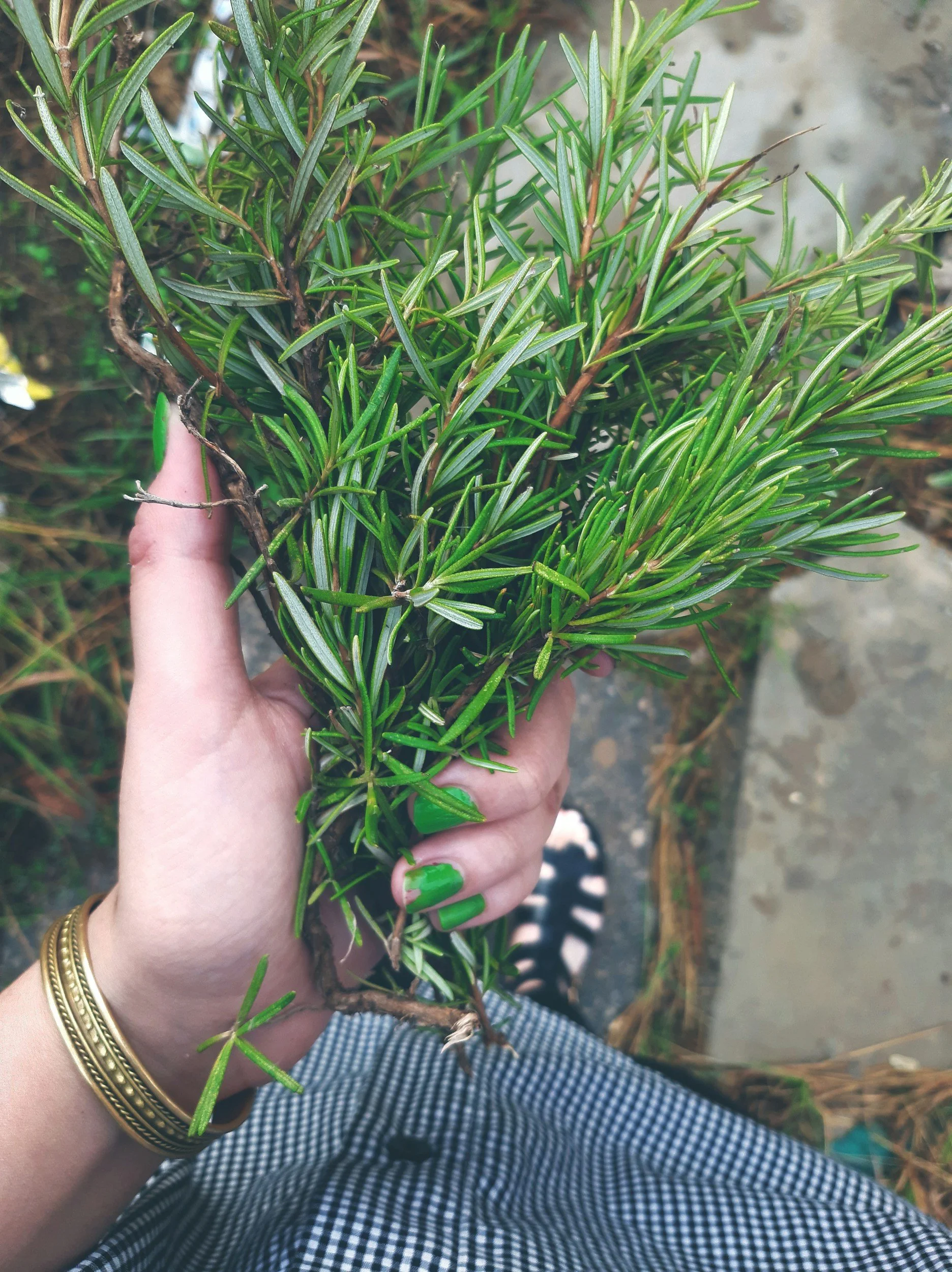 woman holding a rosemary bundle to wrap and place above her door for home protection