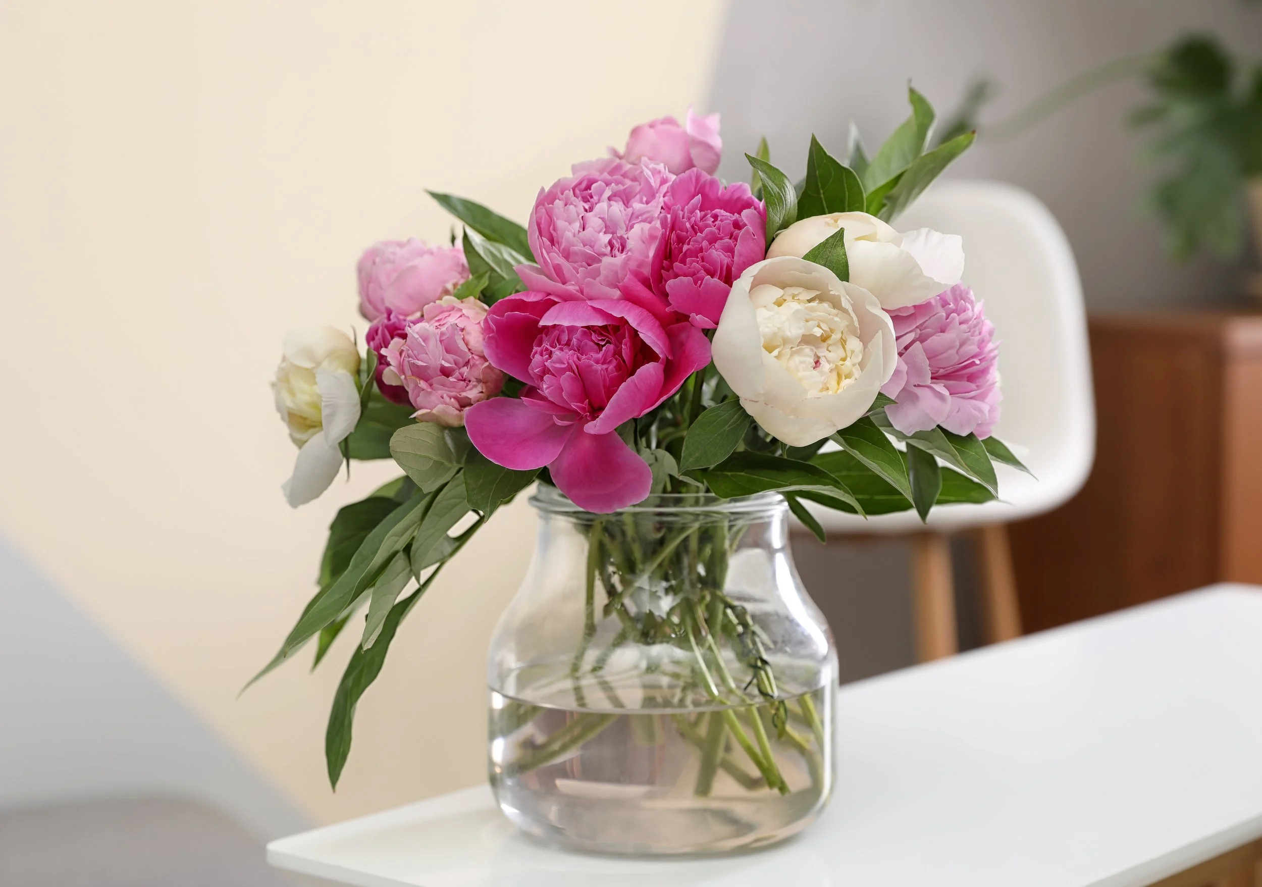 A bouquet of pink and white peonies in a clear glass vase on a white table, with a beige wall and a wooden chair in the background.