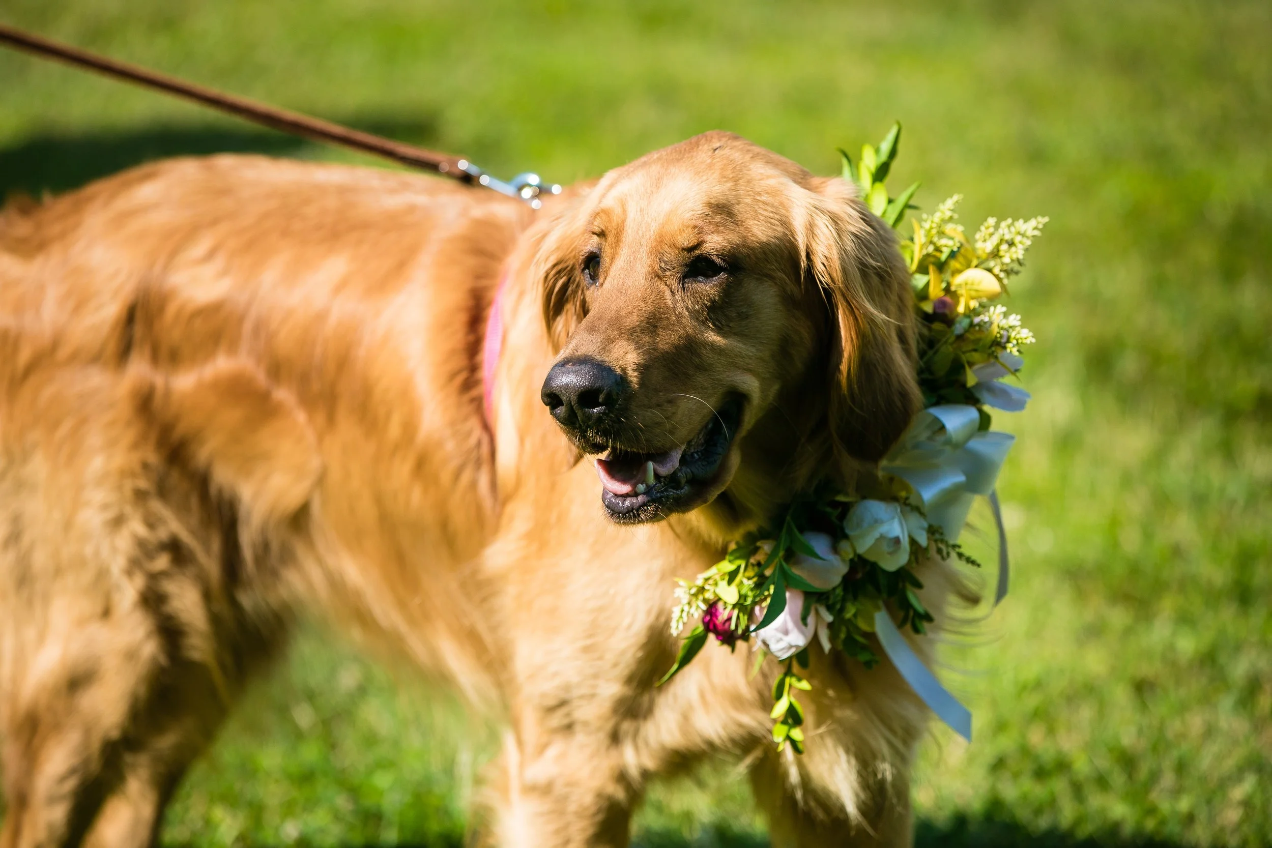 Preece Wedding-318.jpg