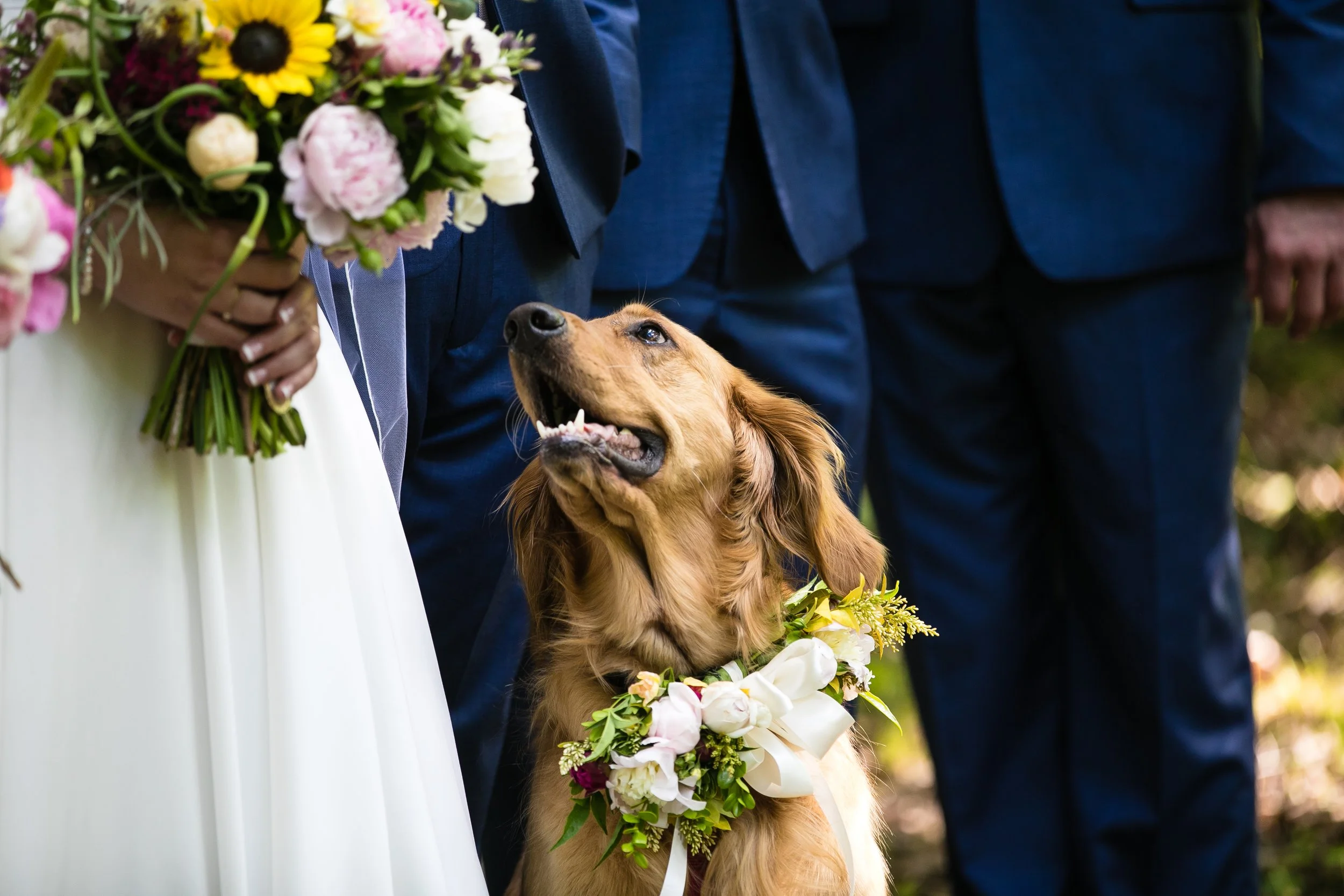 Preece Wedding-626.jpg