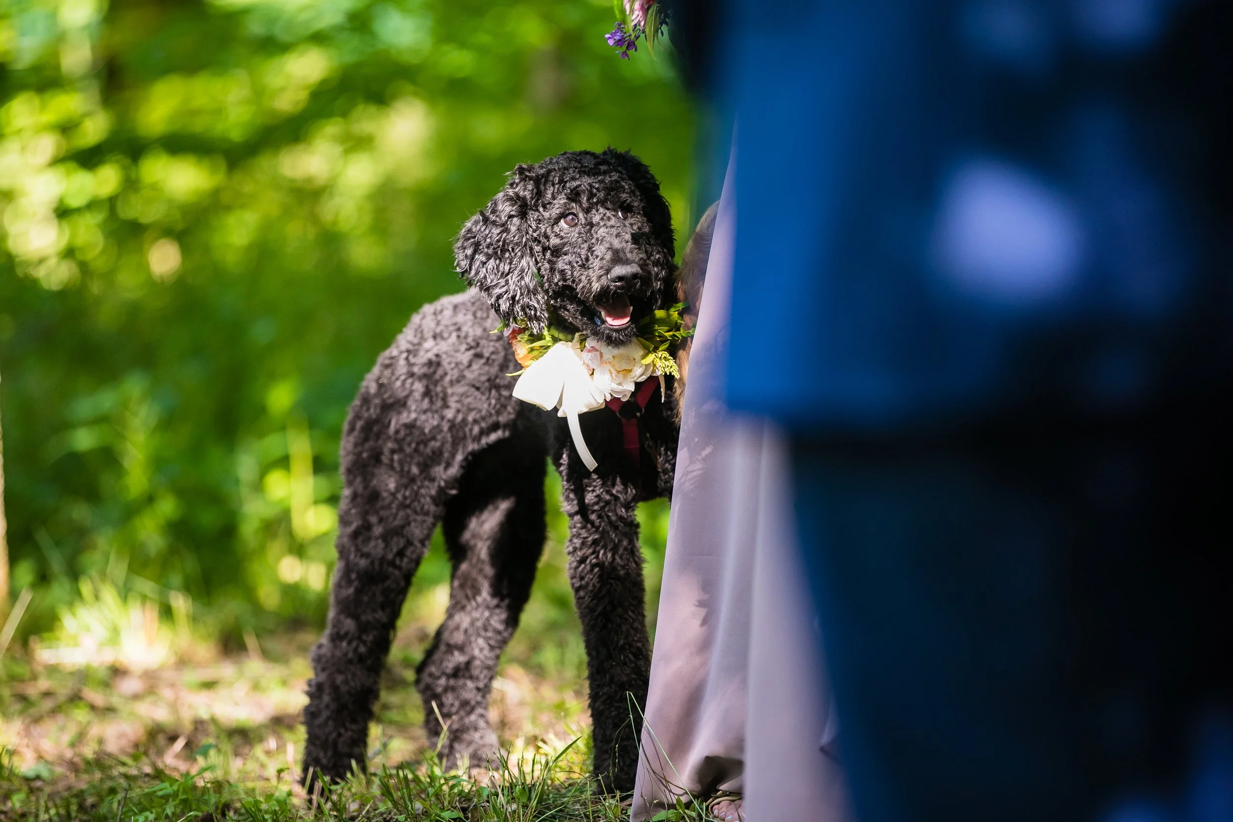 Preece Wedding-491.jpg