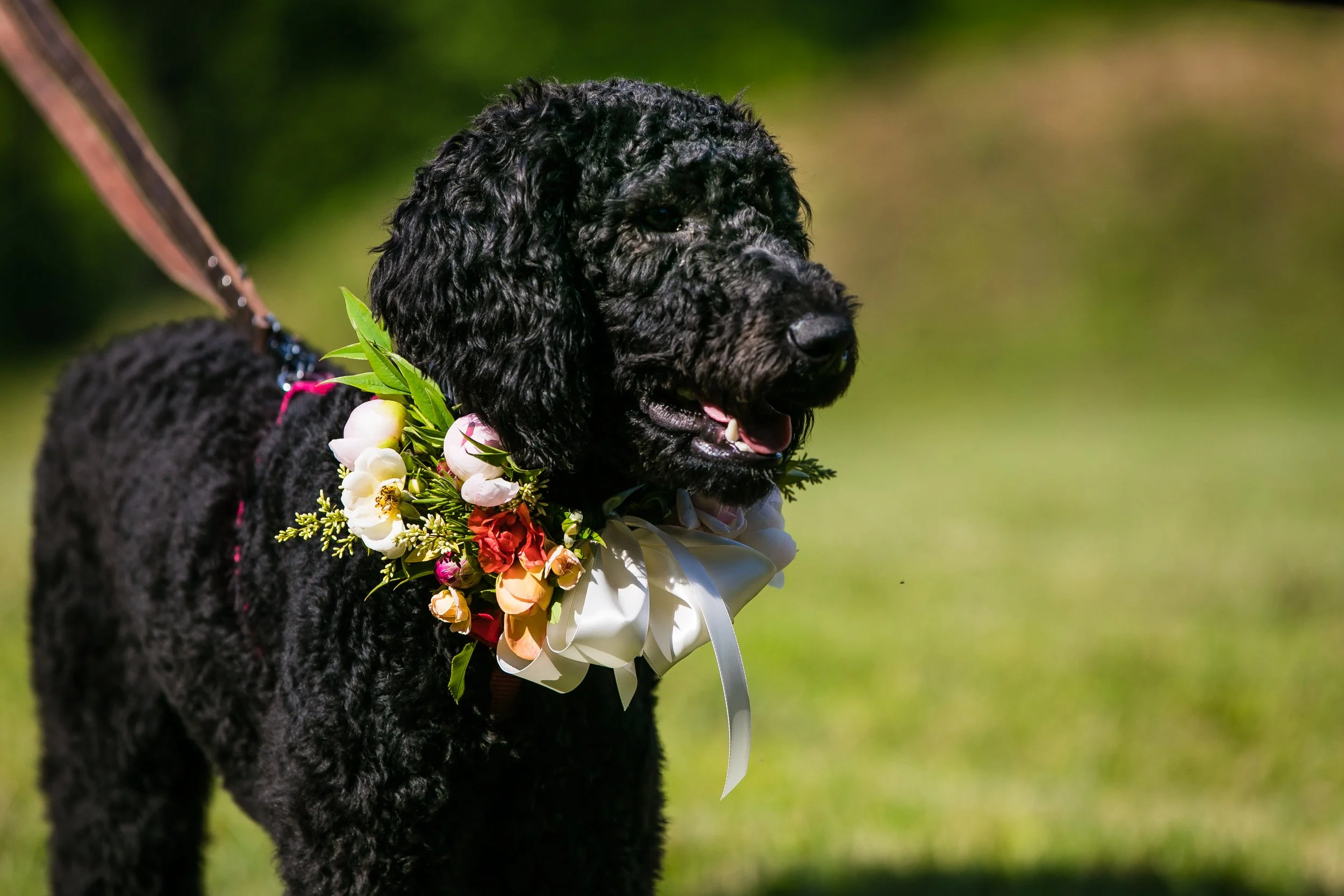 Preece Wedding-319.jpg