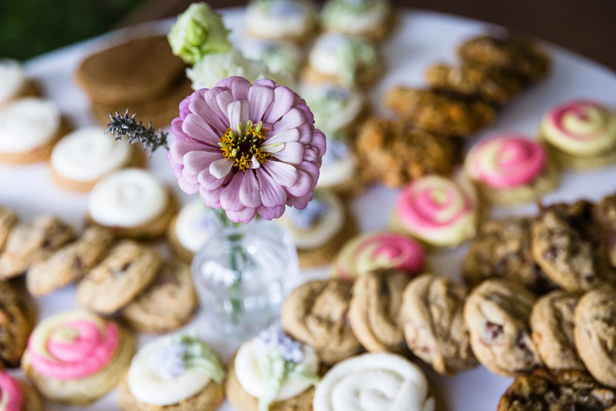 Close-up of a pink flower in a glass vase on a tray of assorted cookies and cupcakes.