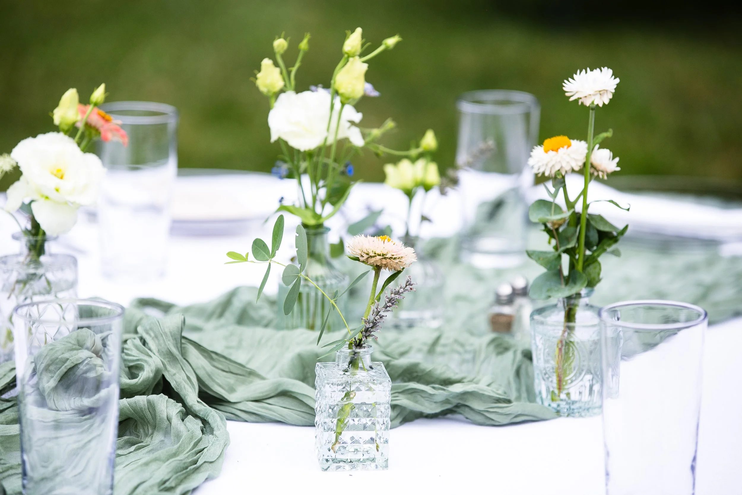 HarperMarco-530 (1).jpg