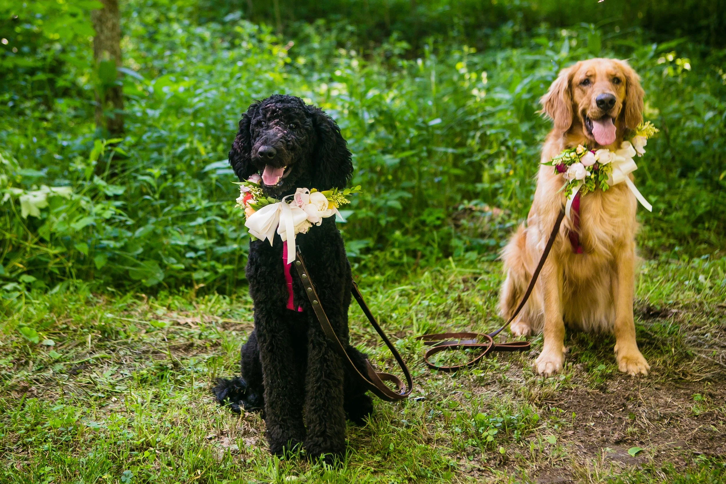 Preece Wedding-348.jpg