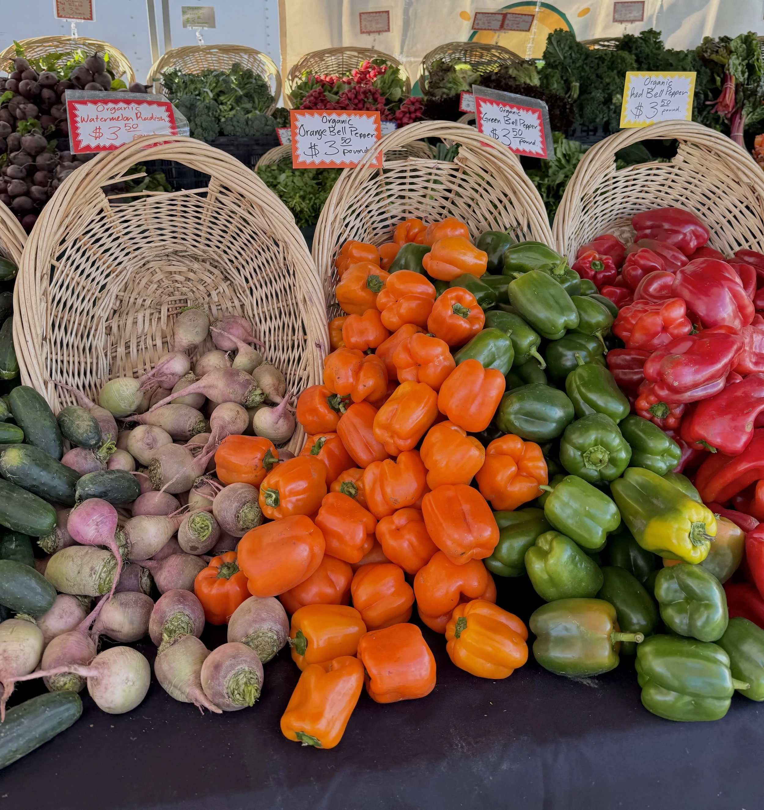 Display of fresh vegetables including radishes, orange bell peppers, green bell peppers, and red bell peppers at a market stand.