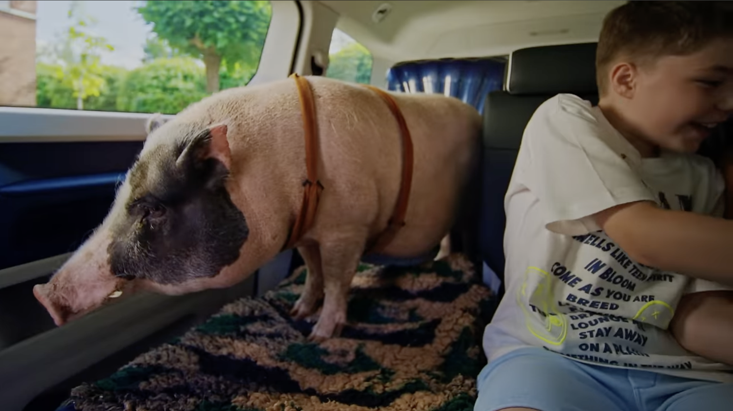 Scherm­afbeelding 2025-11-02 om 21.22.18.png