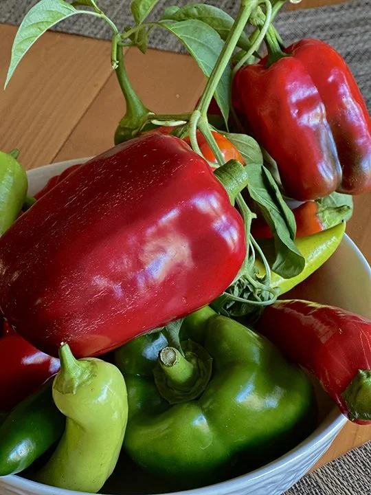 Annies Cooking Tonight Peppers.jpg