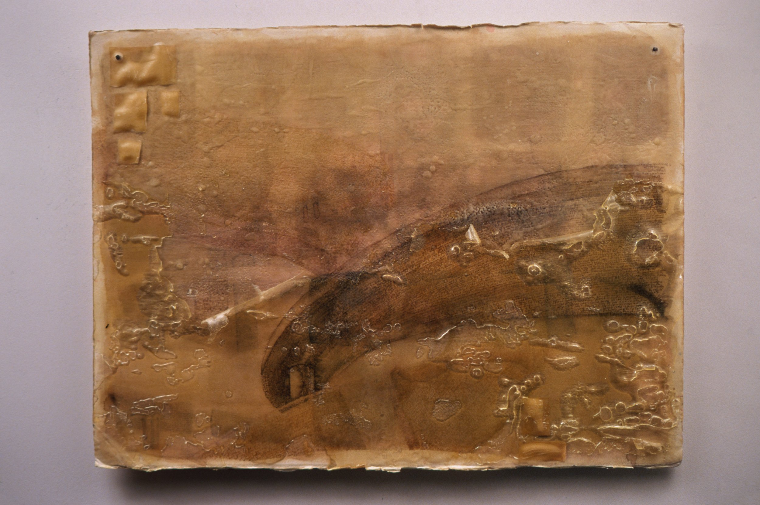  She Drove the Santa Monica to the Harbor, the Harbor up to the Hollywood to the Golden State, the Santa Monica, the Santa Ana, the Pasadena, the Ventura , 2001, ink, beeswax, latex, polymer on paper
