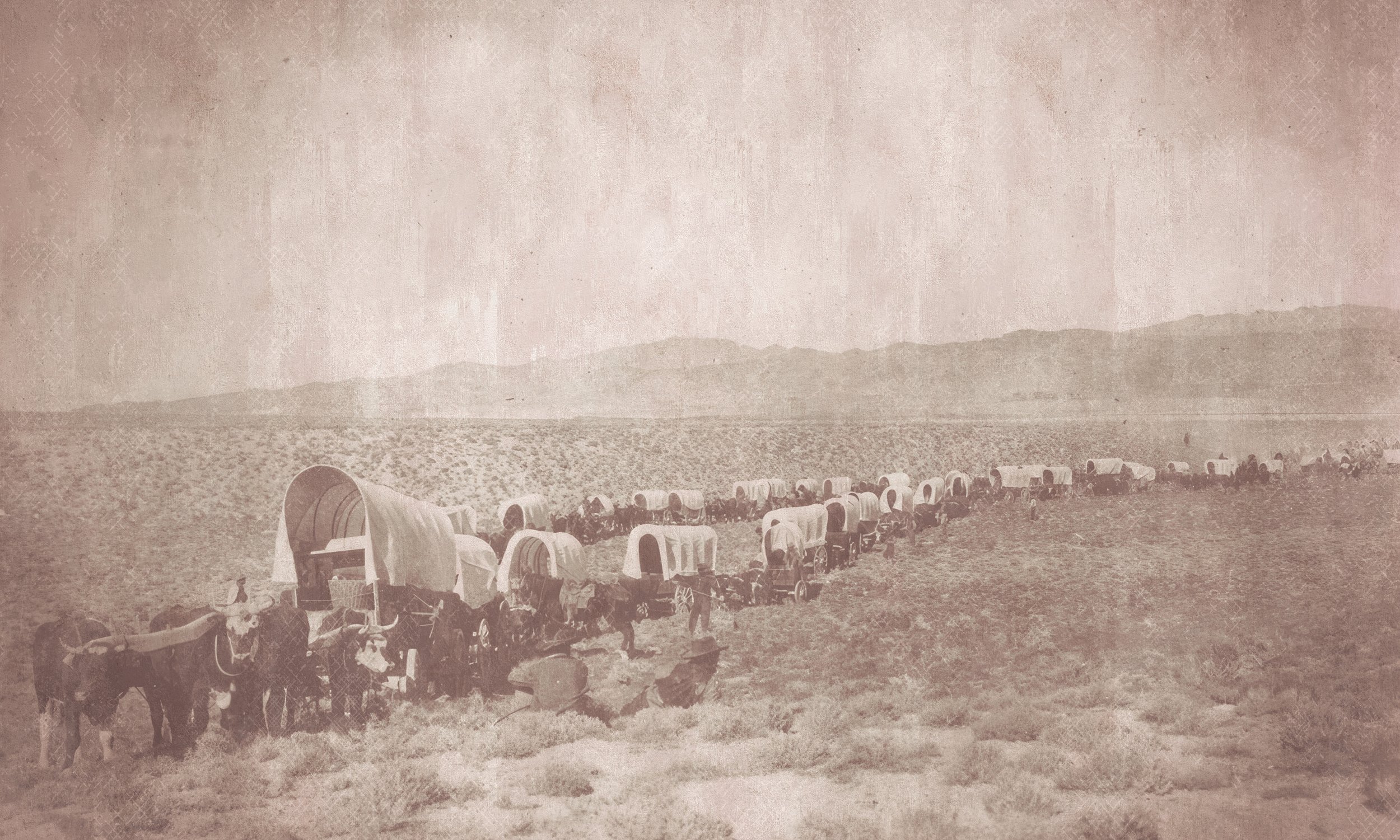 OLD WAGON 02.jpg