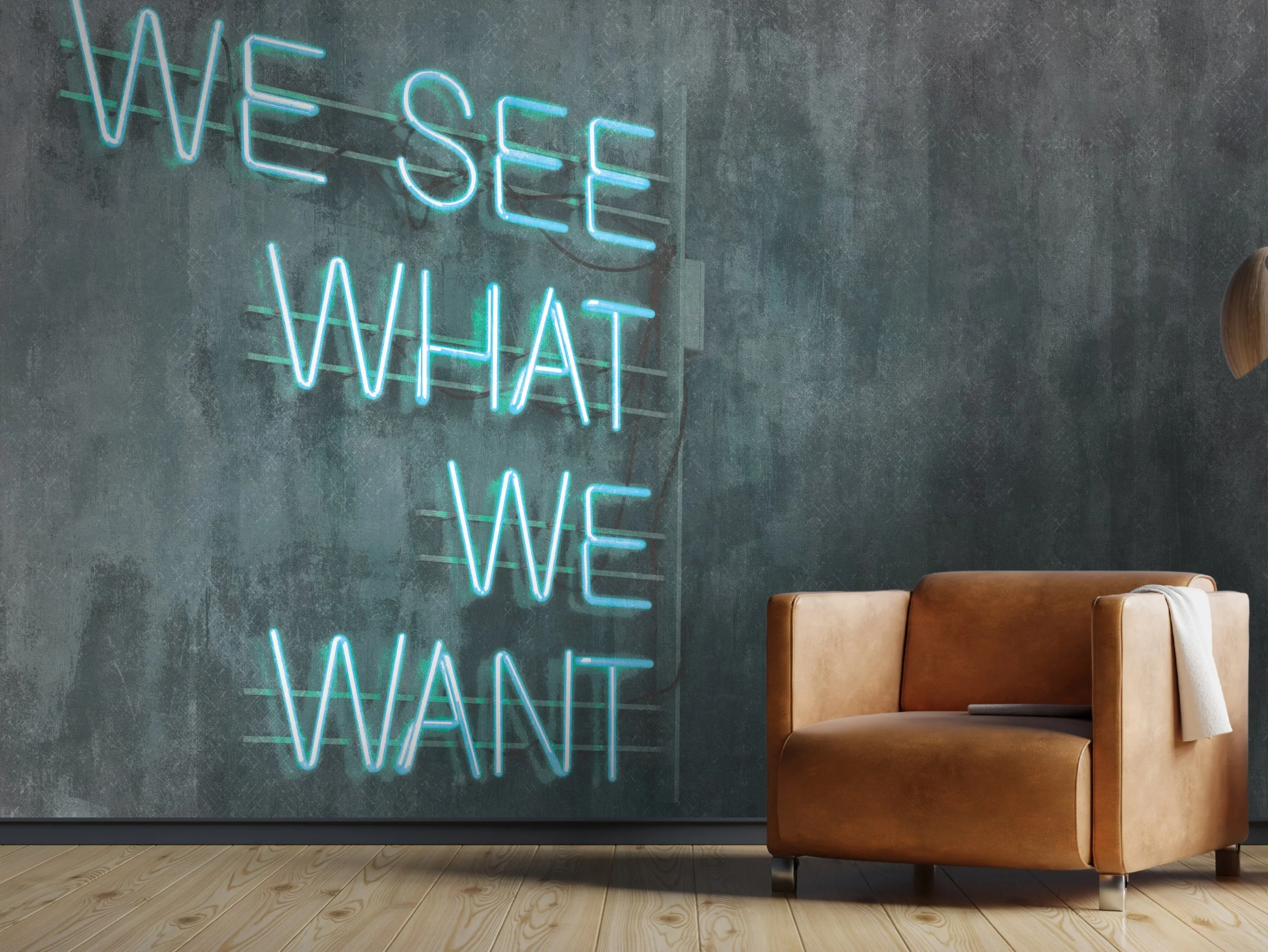DI / We See What We Want / Production / $-$$