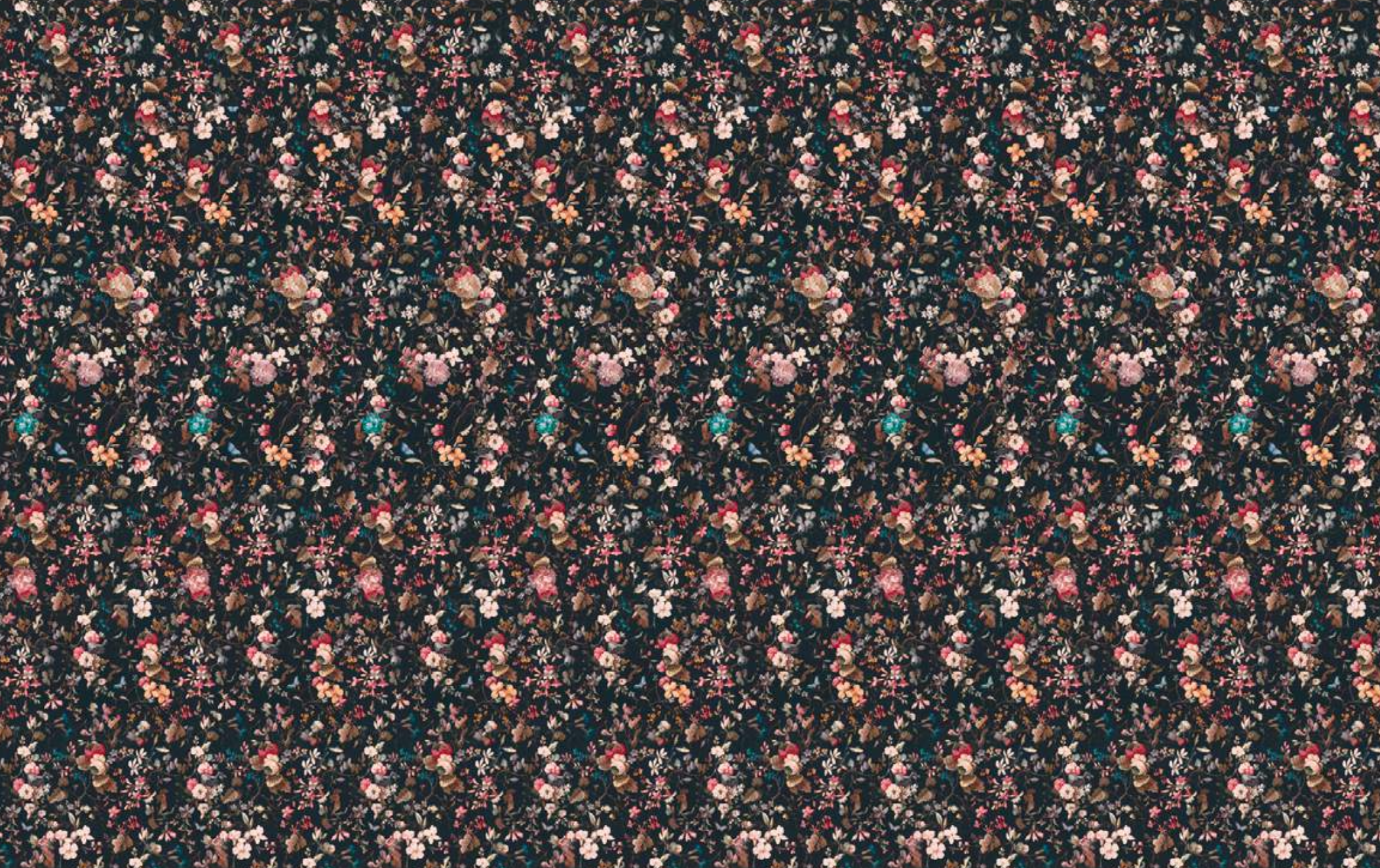 Screenshot+2026-01-25+at+3.13.35 AM.webp