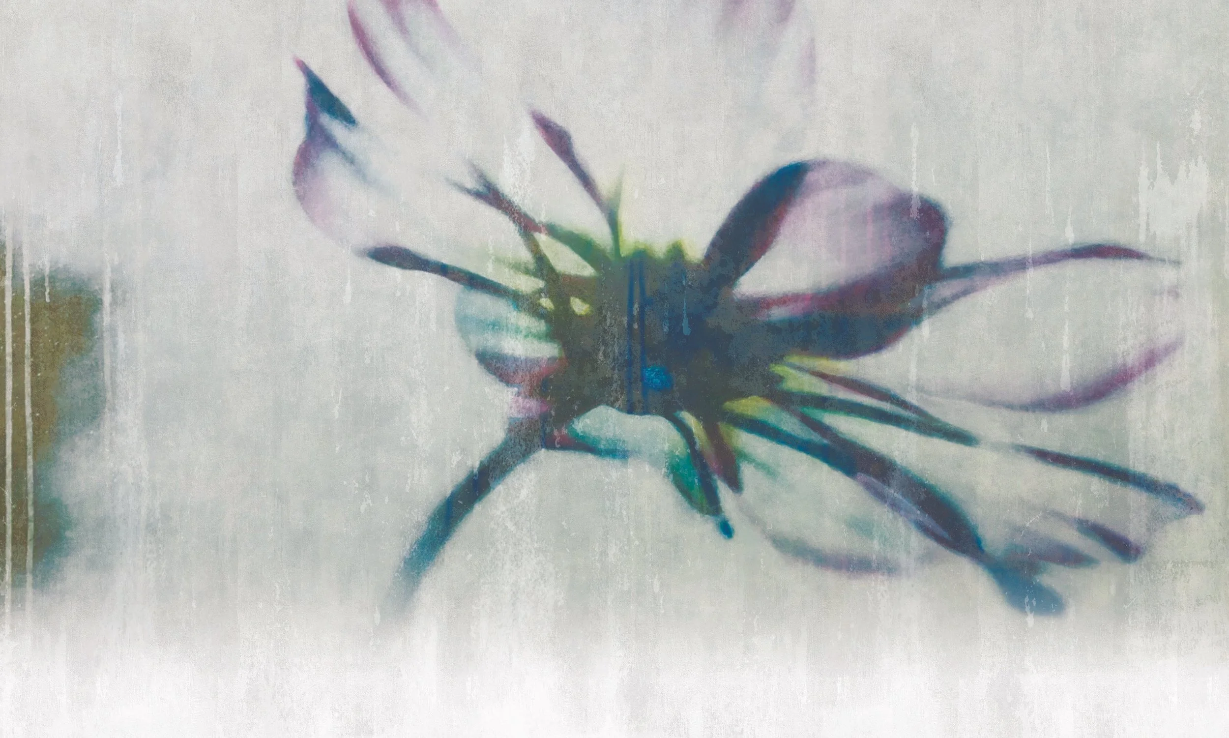 FLOWER 02.jpg