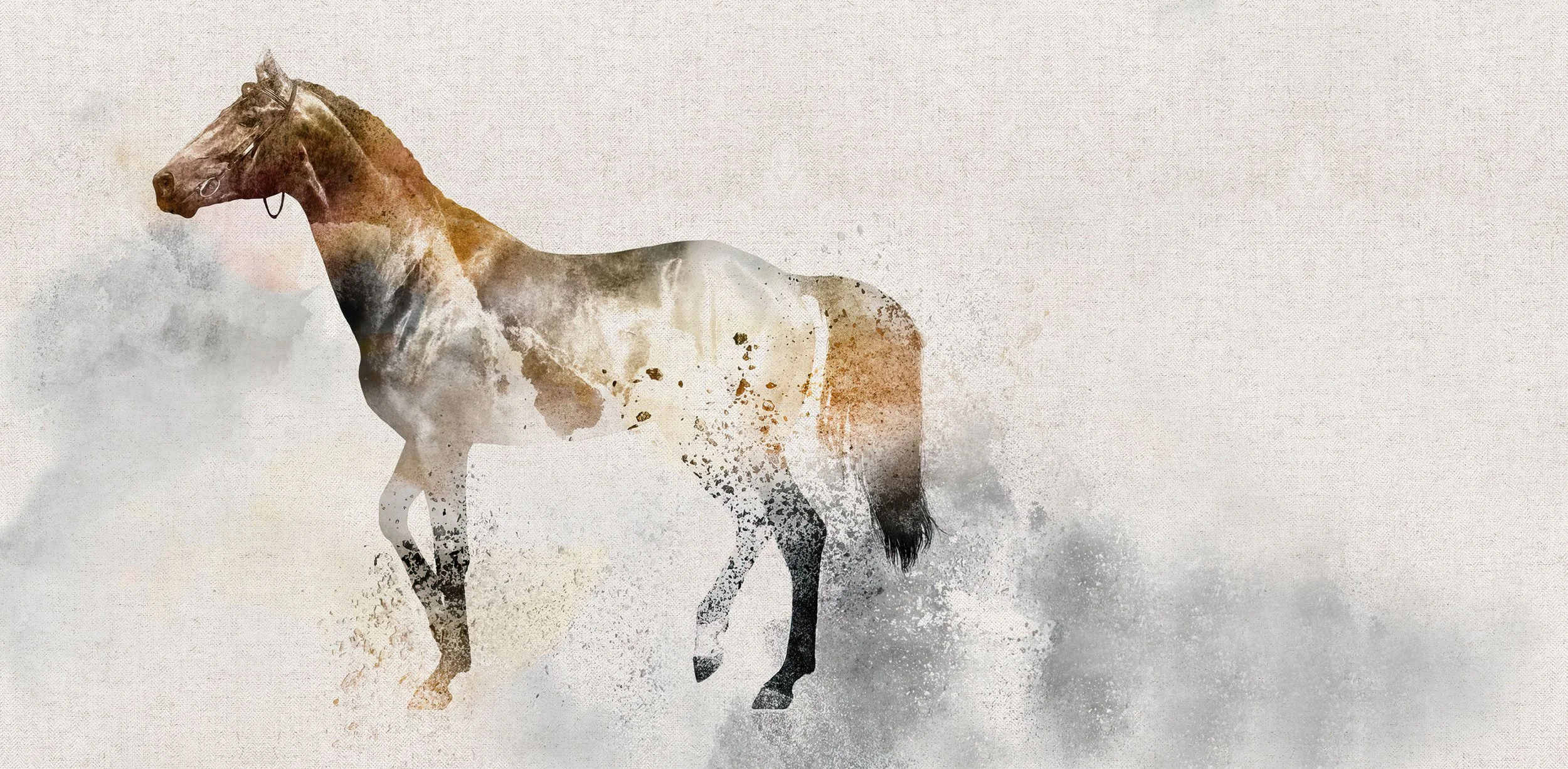 HORSE.jpg