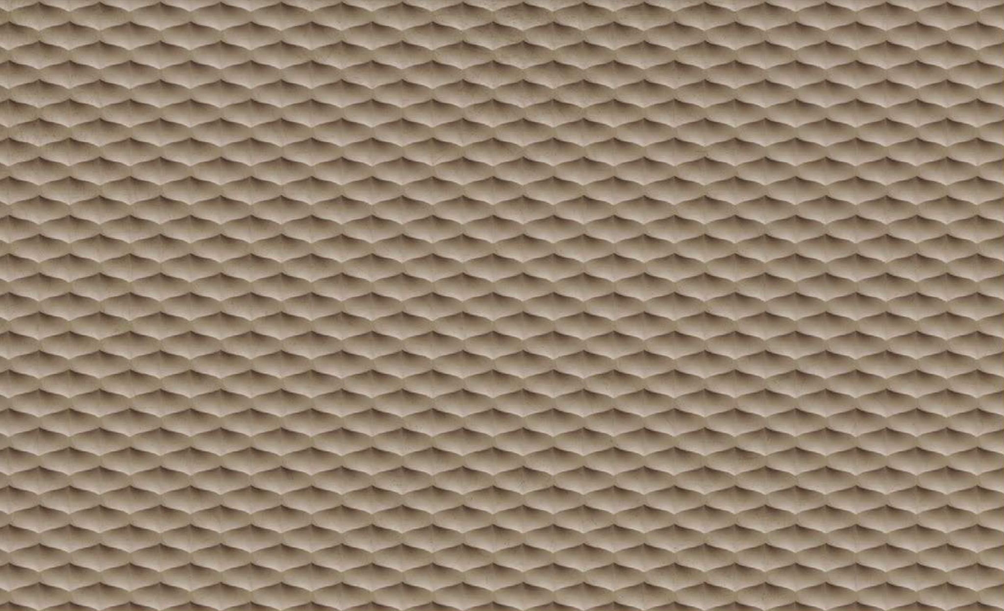 Texture | Monochrome