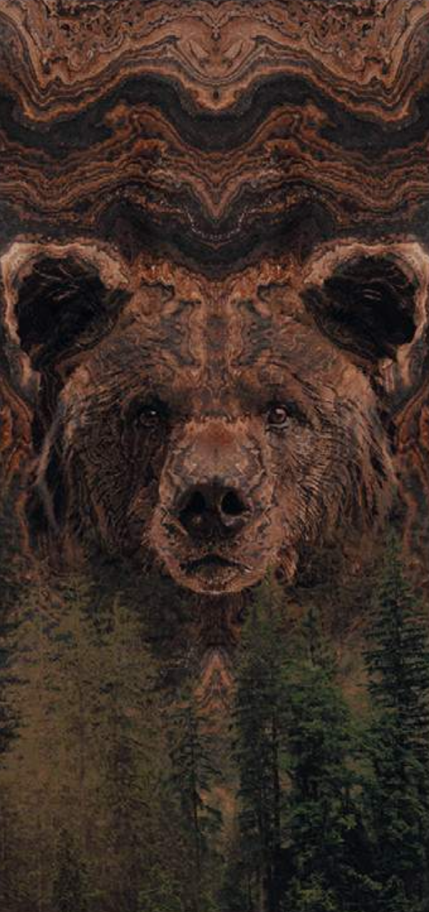Animals
