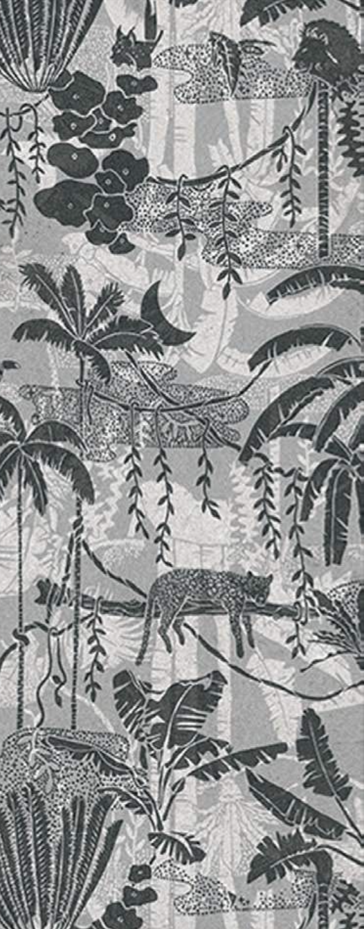 jungle 2.webp