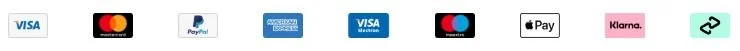 Collection of various digital payment and credit card logos, including VISA, Mastercard, PayPal, American Express, Apple Pay, Klarna, and others.