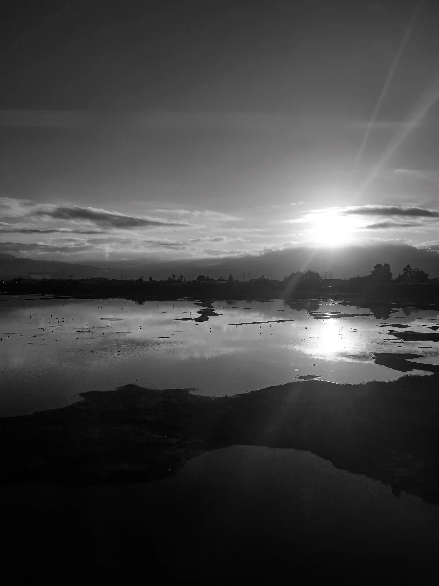 Train Sun 3.jpg